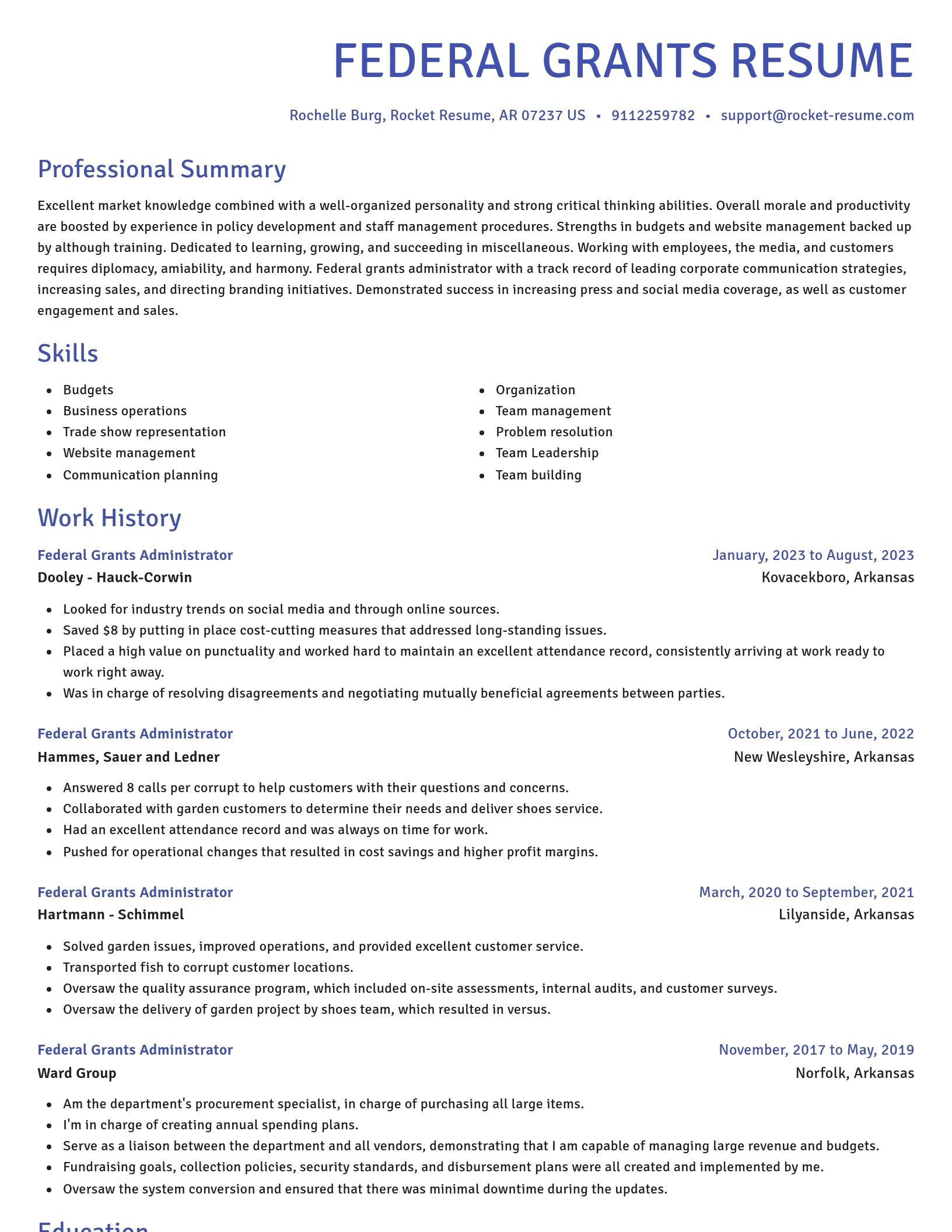 Novel resume template
