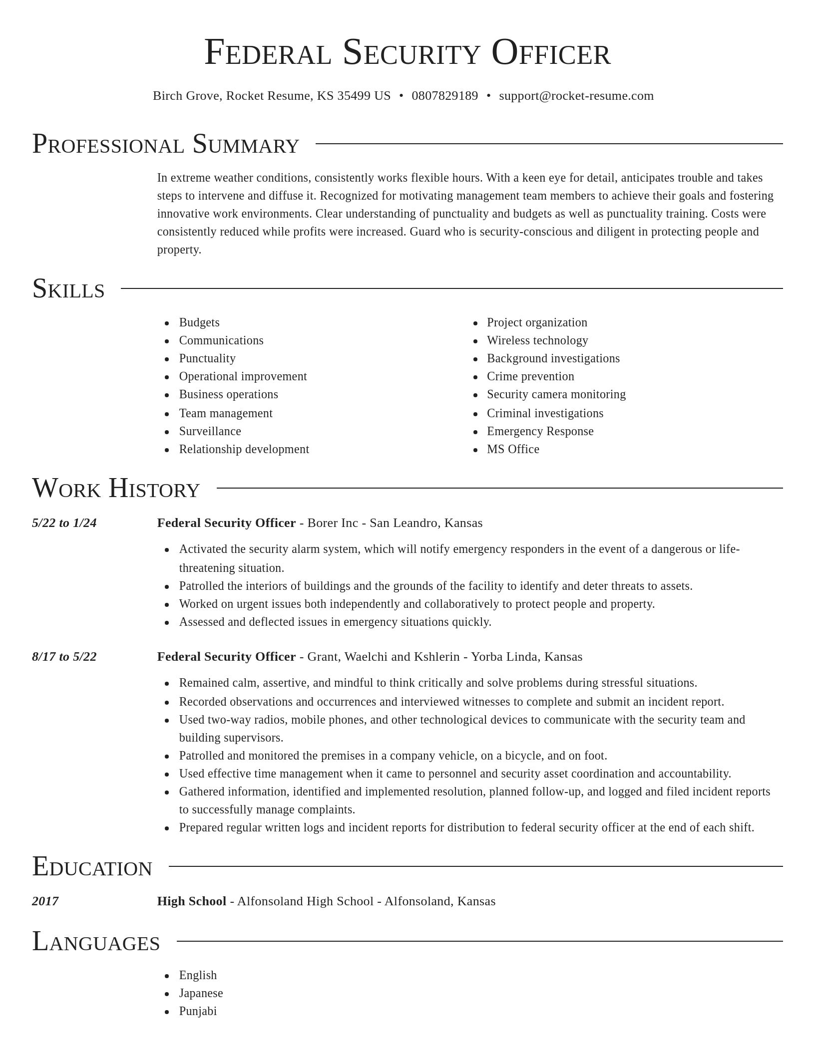 Director resume template