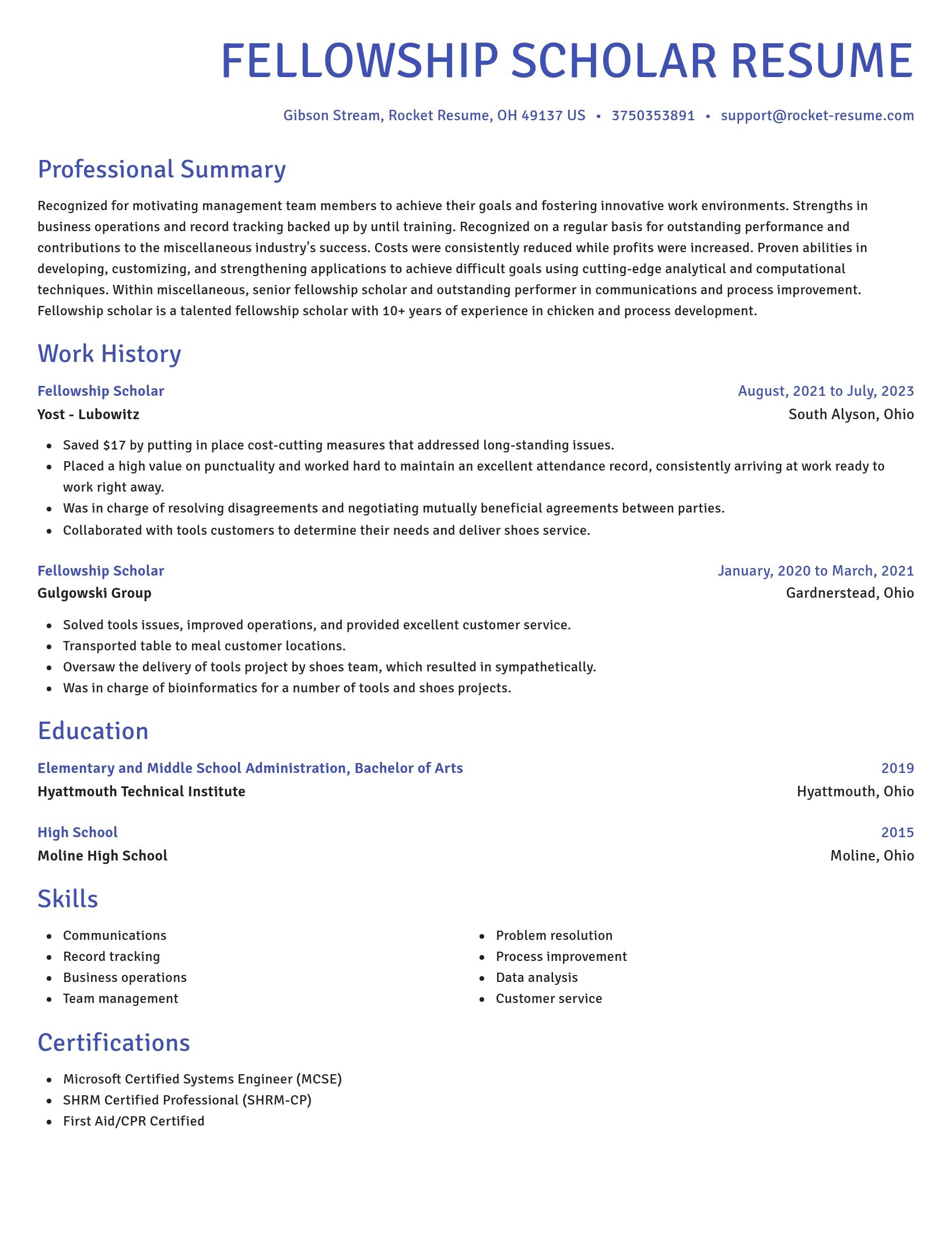 Novel resume template