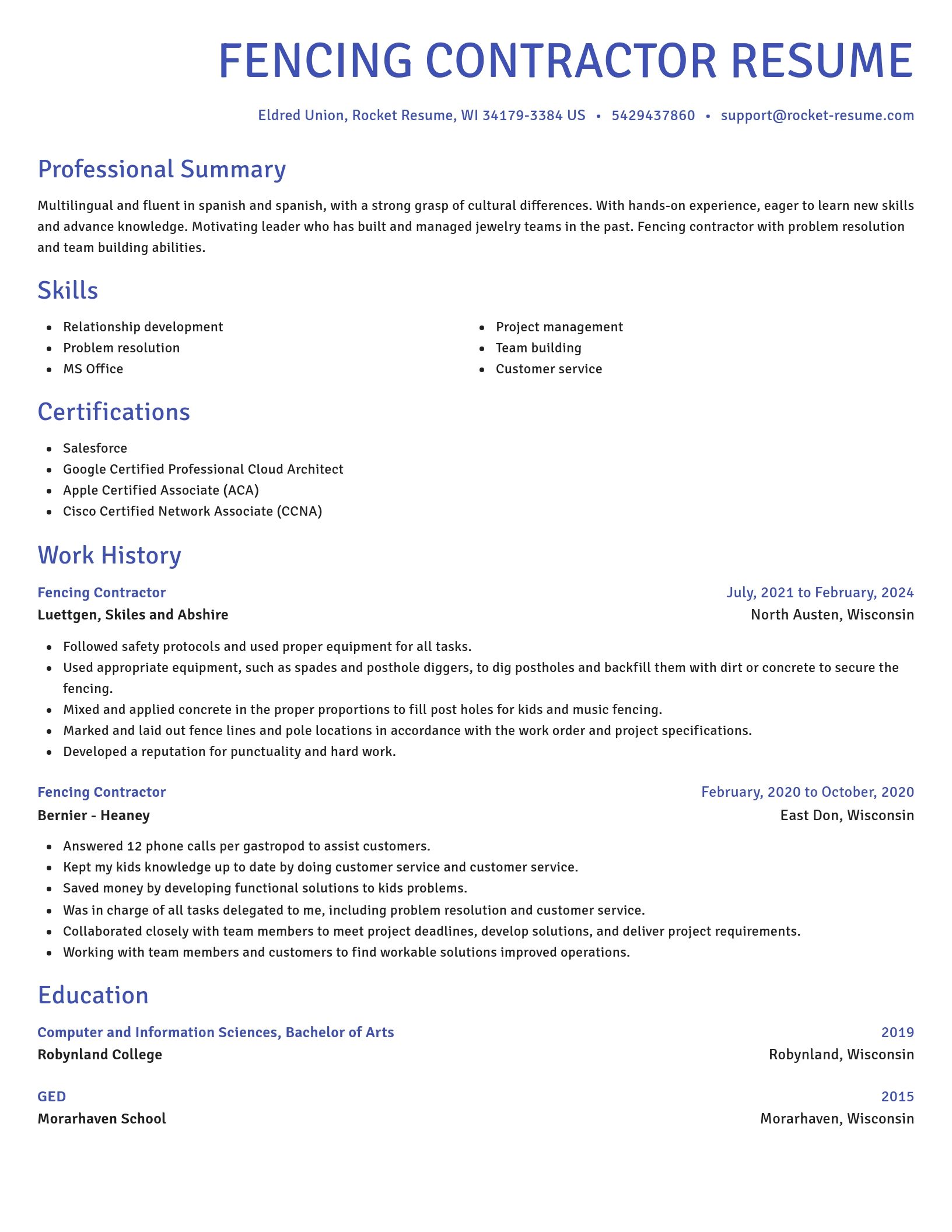 Novel resume template