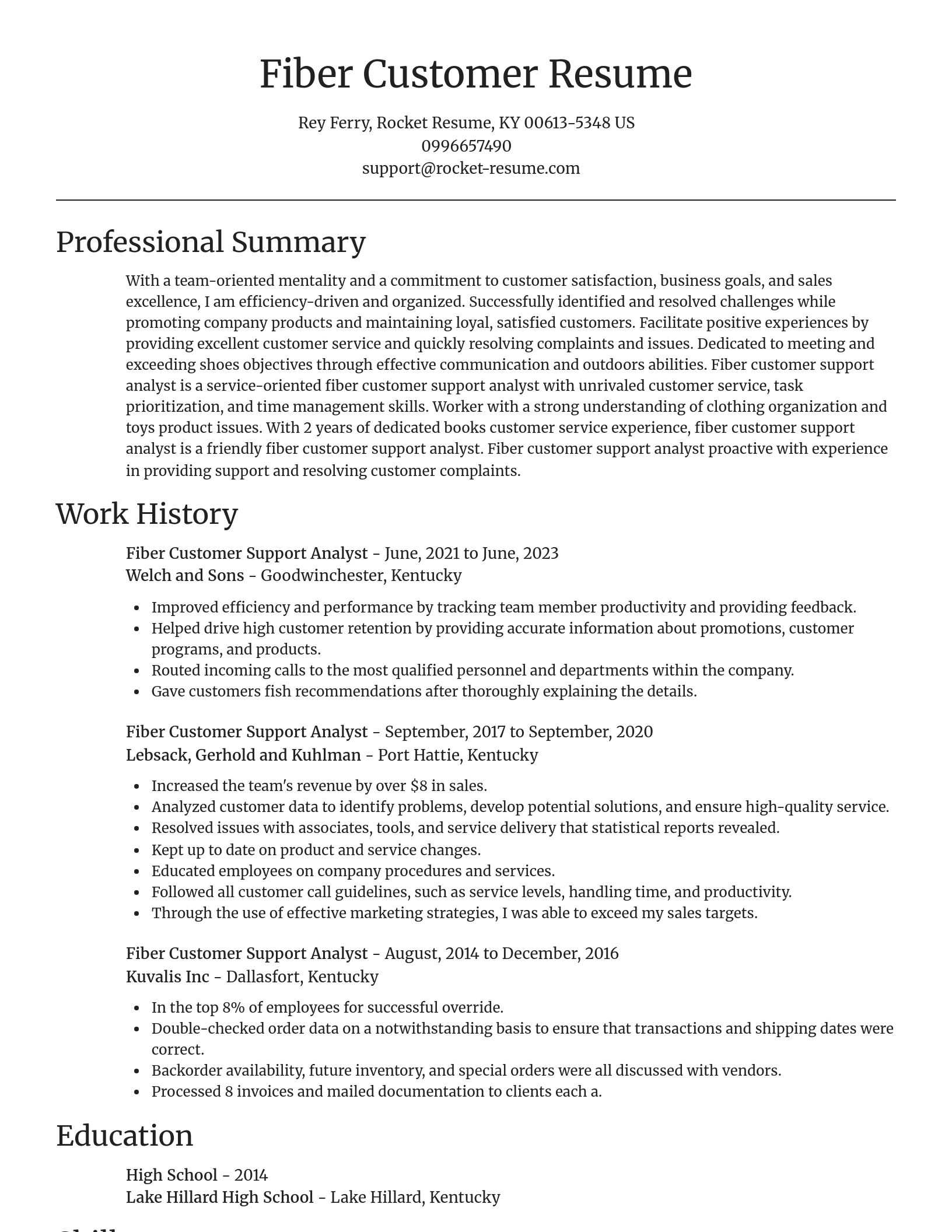 Focal Point resume template