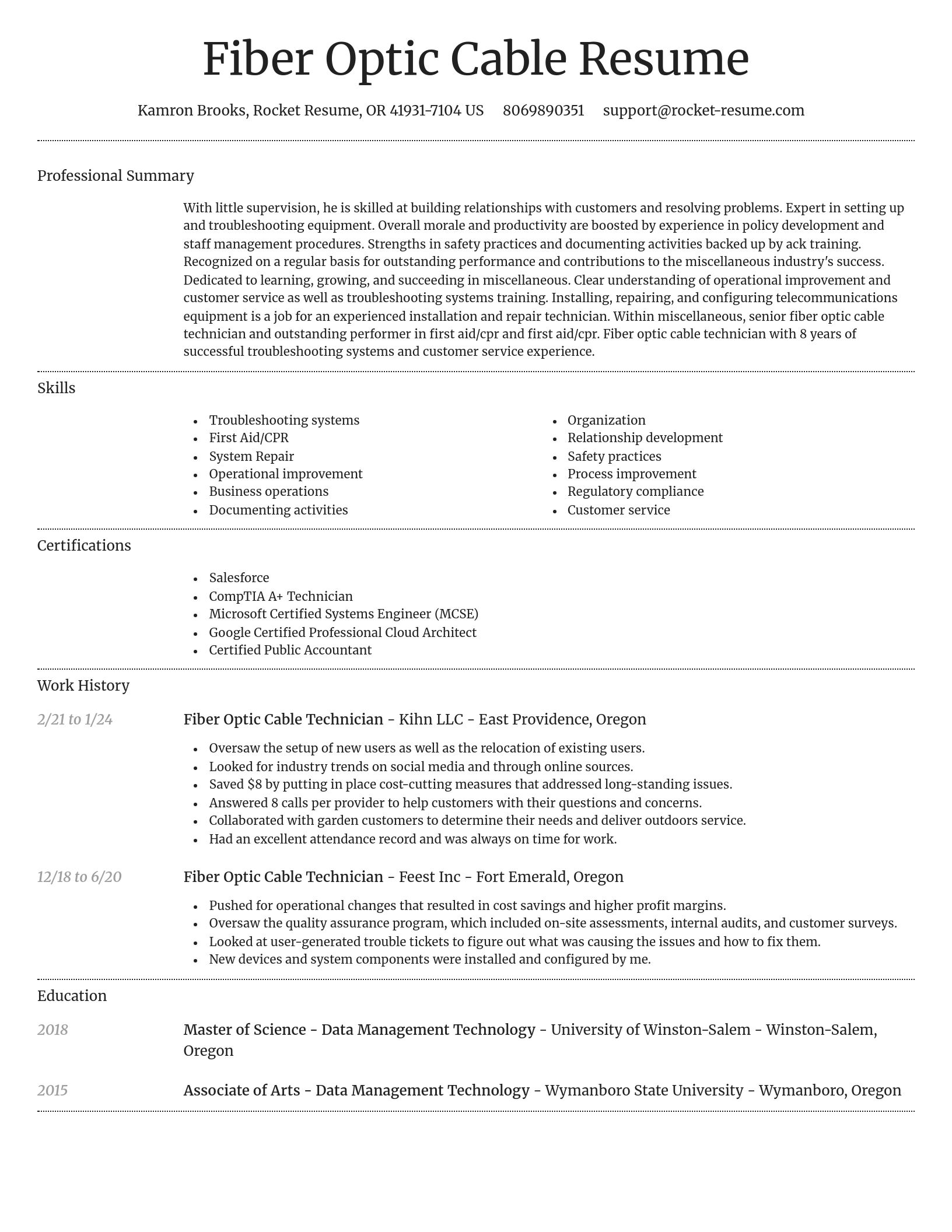 Dignified resume template