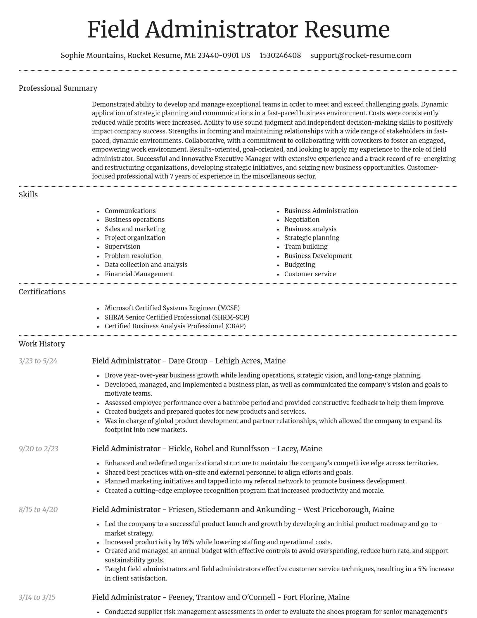 Dignified resume template
