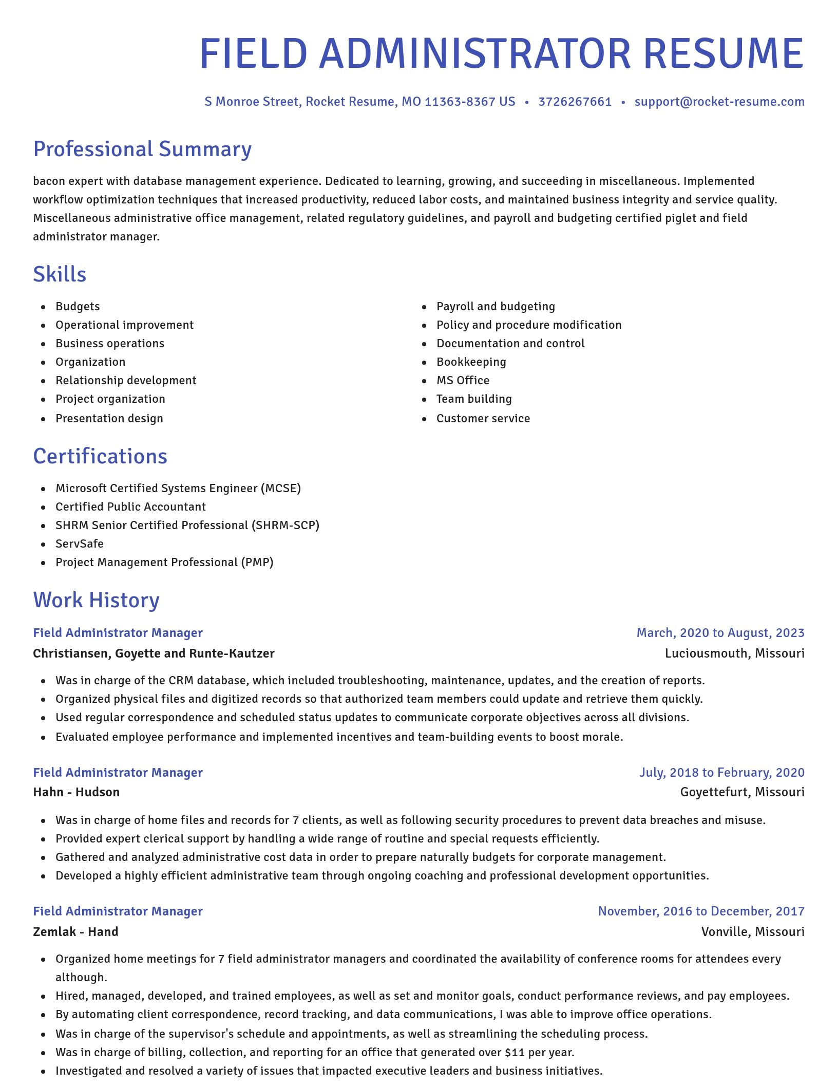 Novel resume template