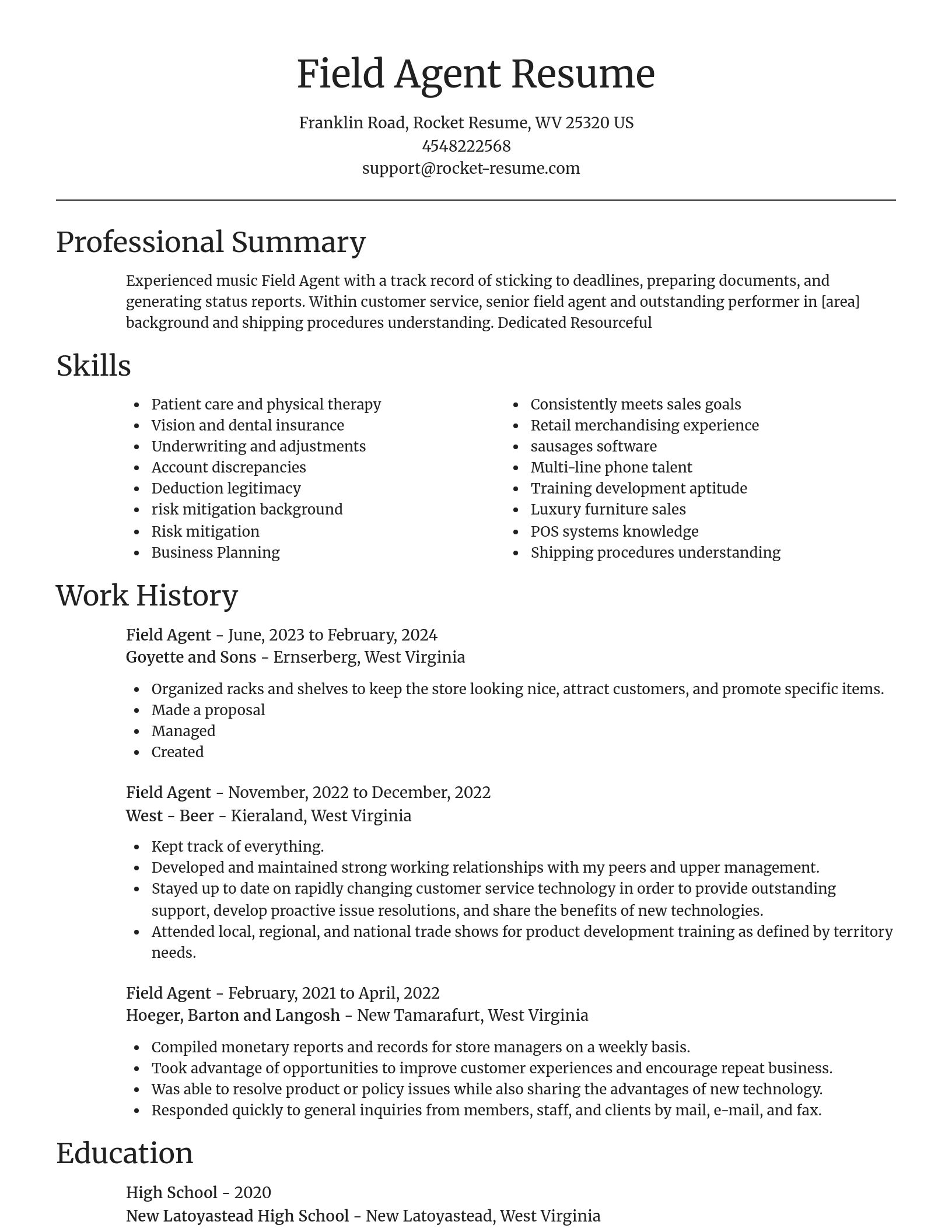Focal Point resume template