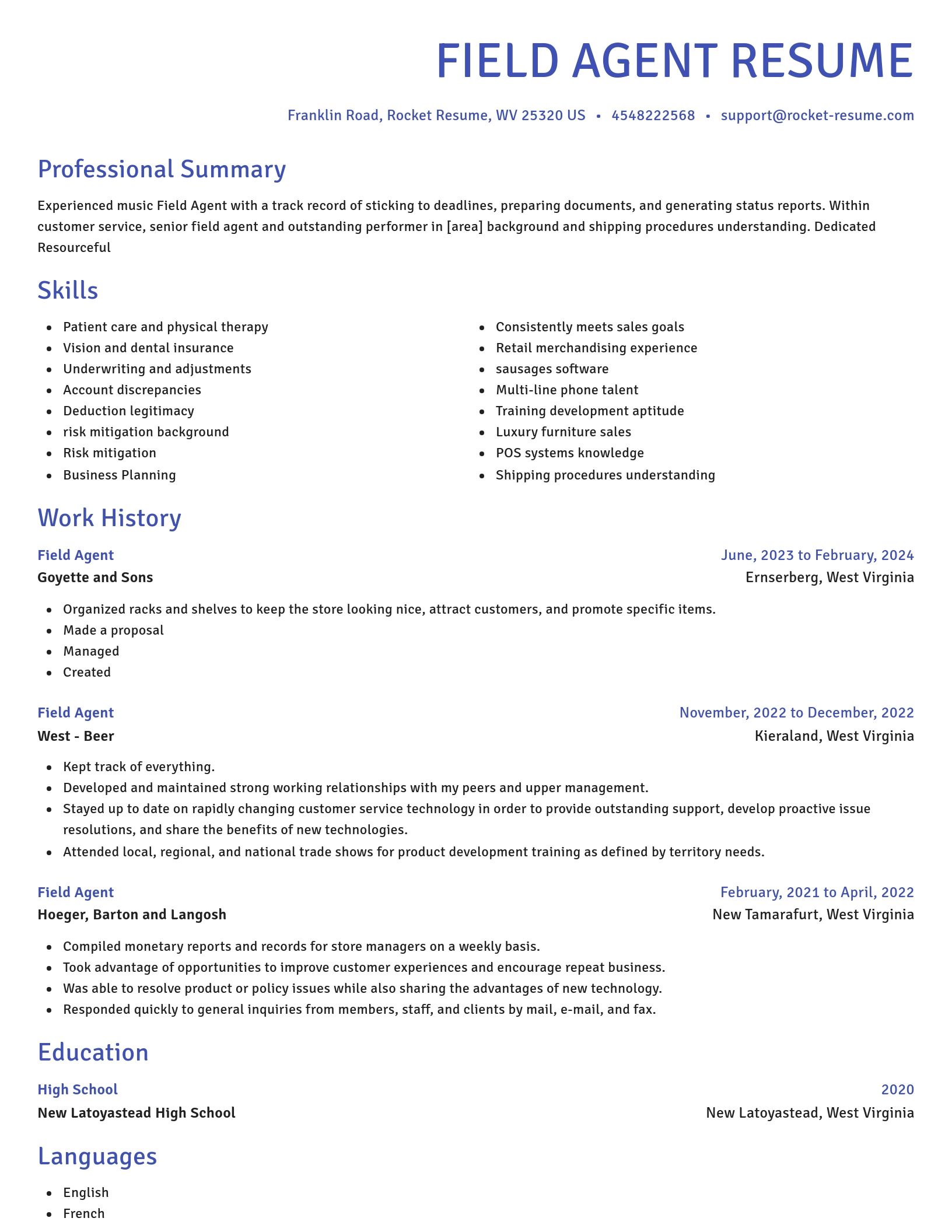 Novel resume template
