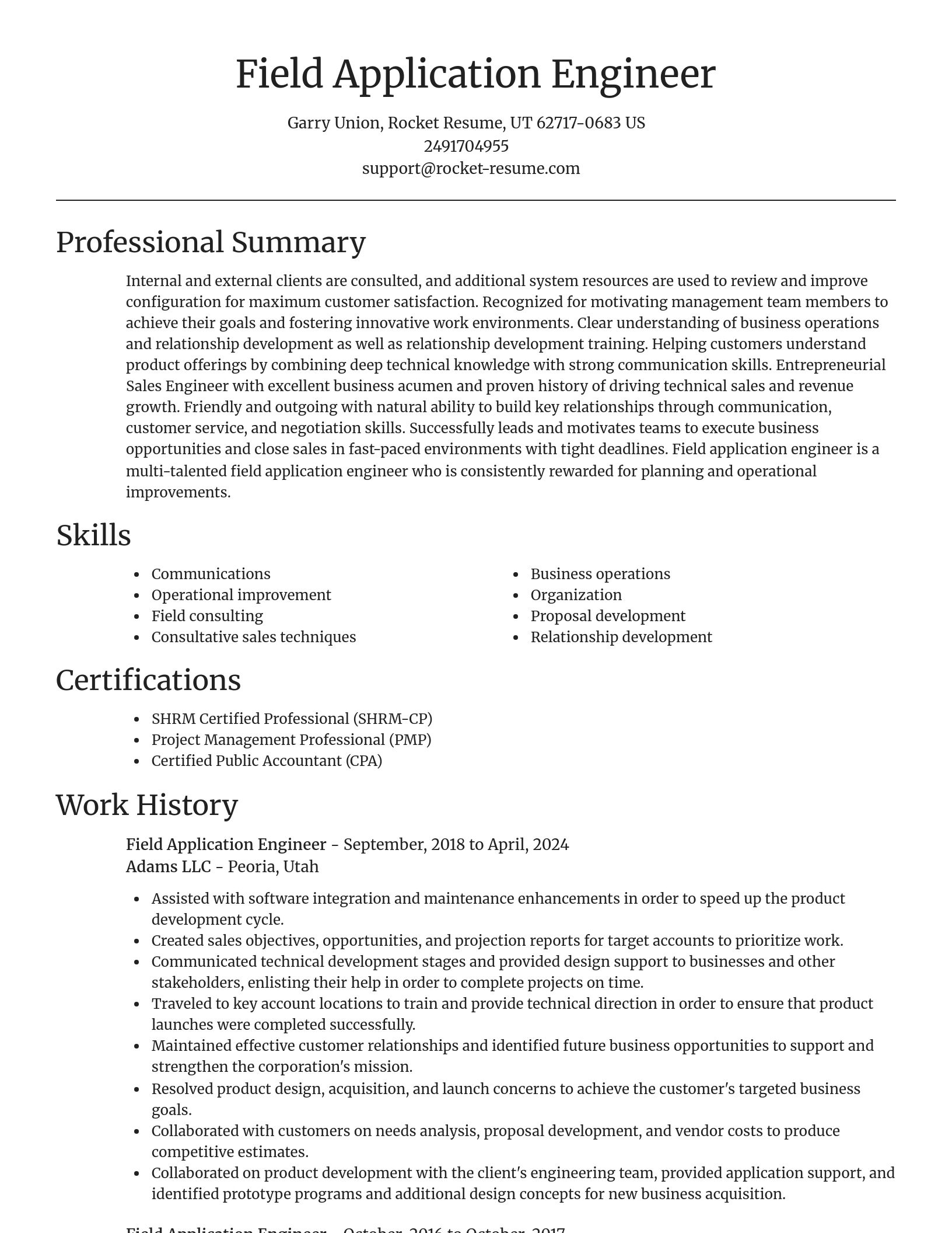 Focal Point resume template