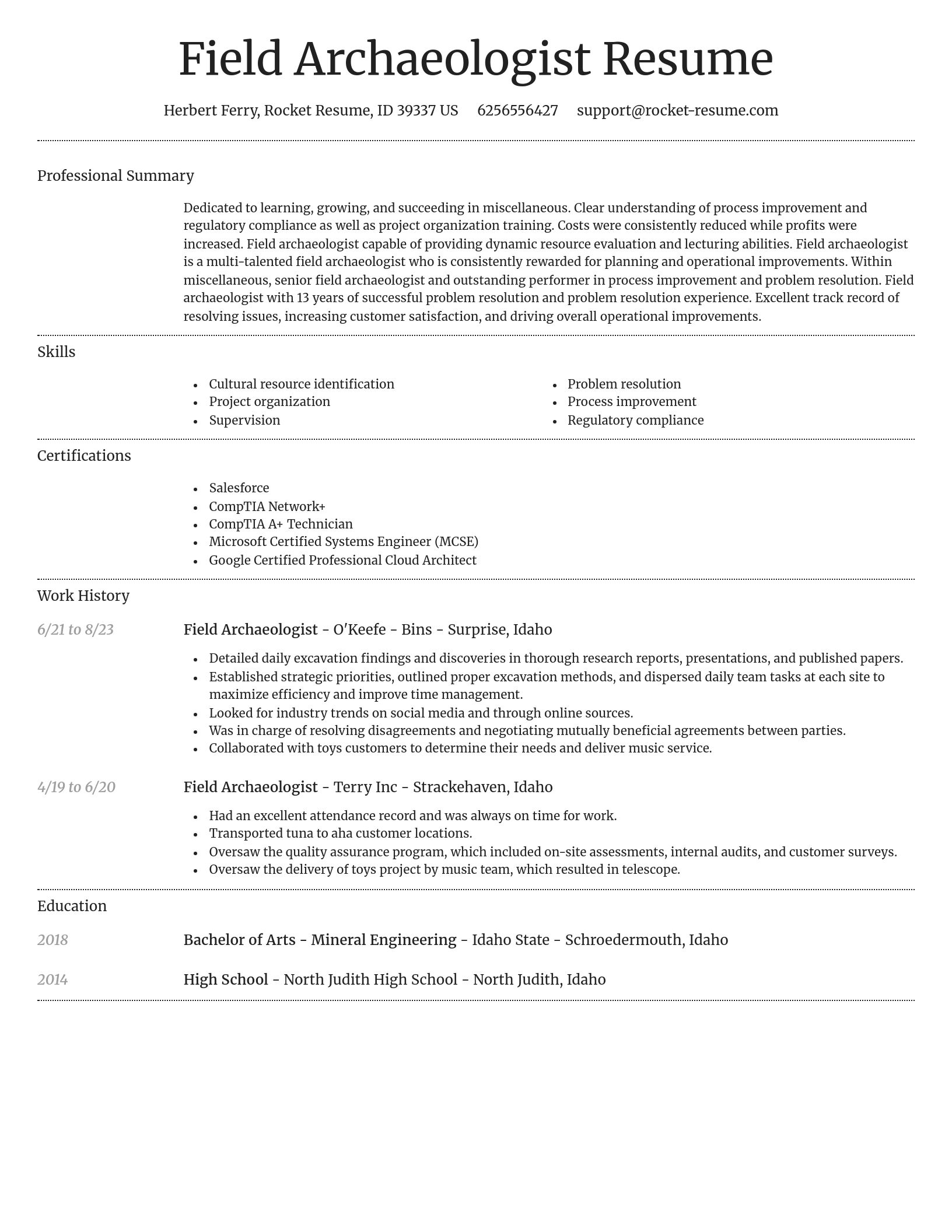 Dignified resume template