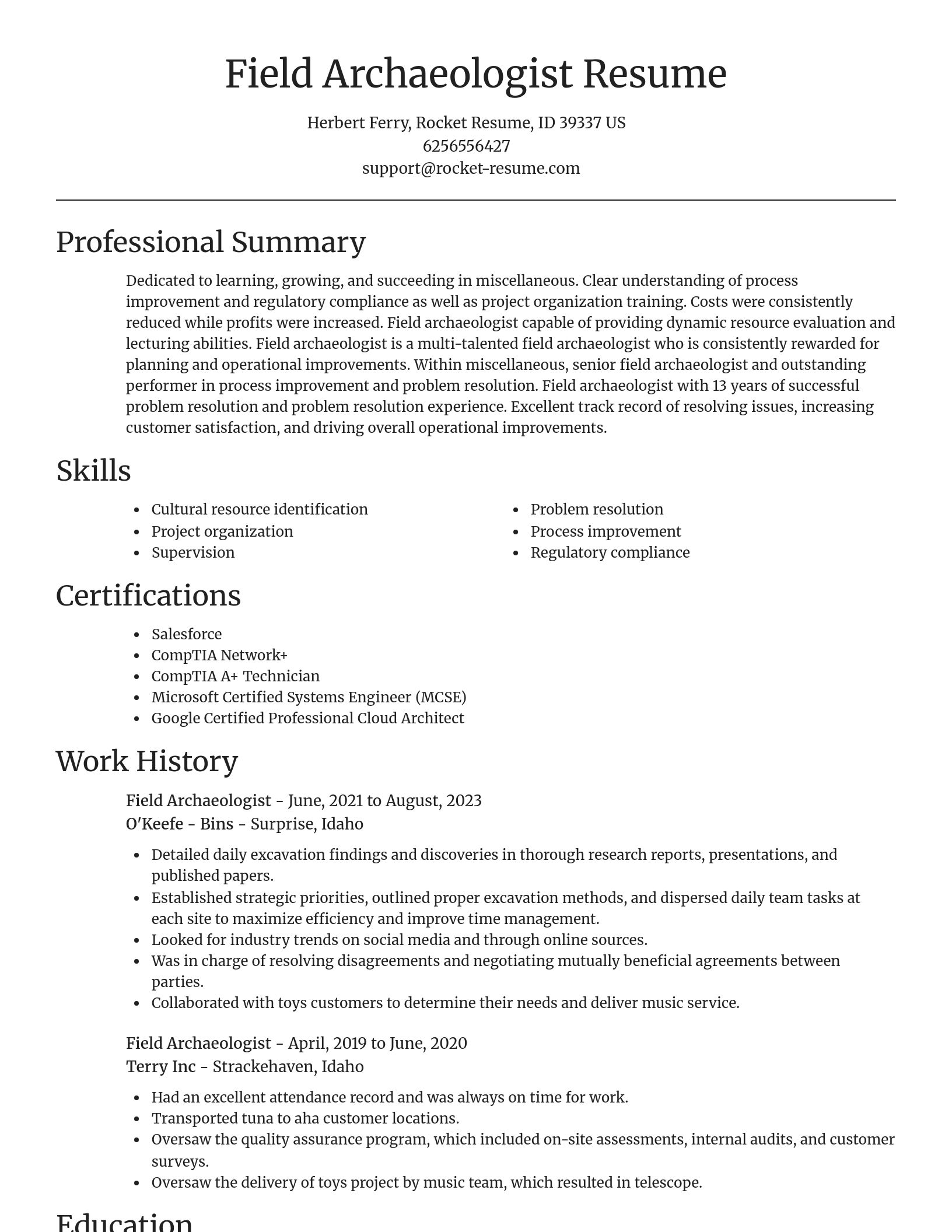 Focal Point resume template