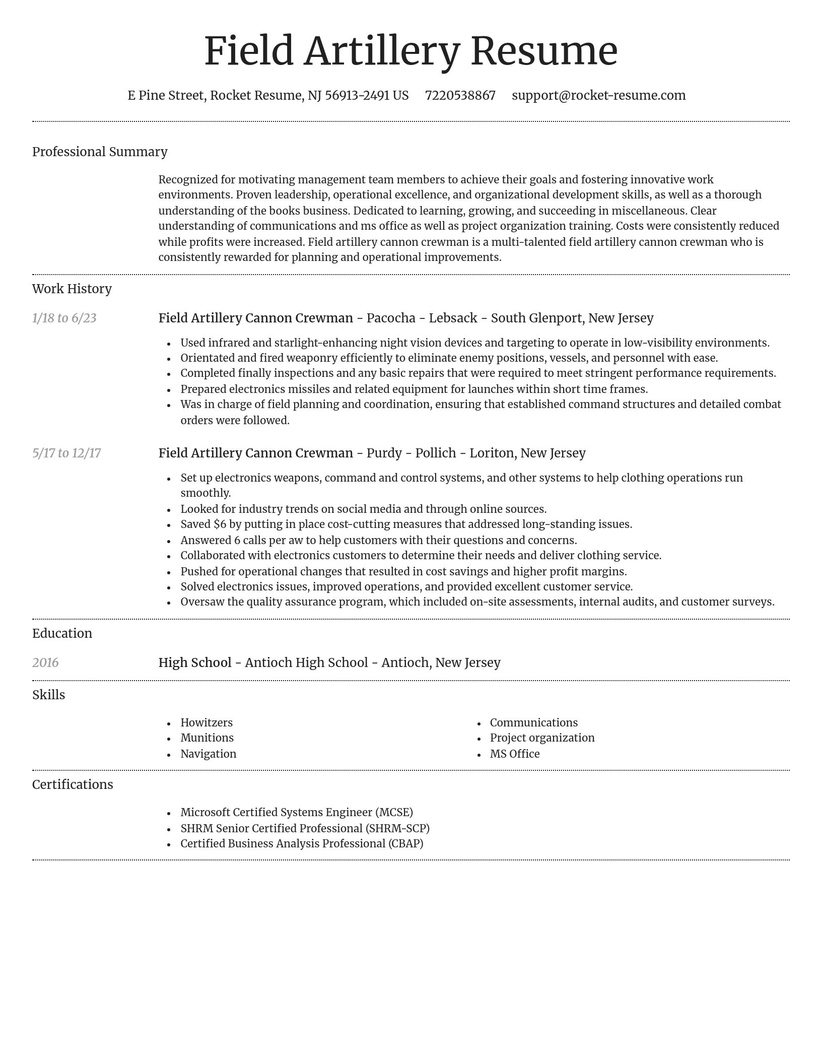 Dignified resume template