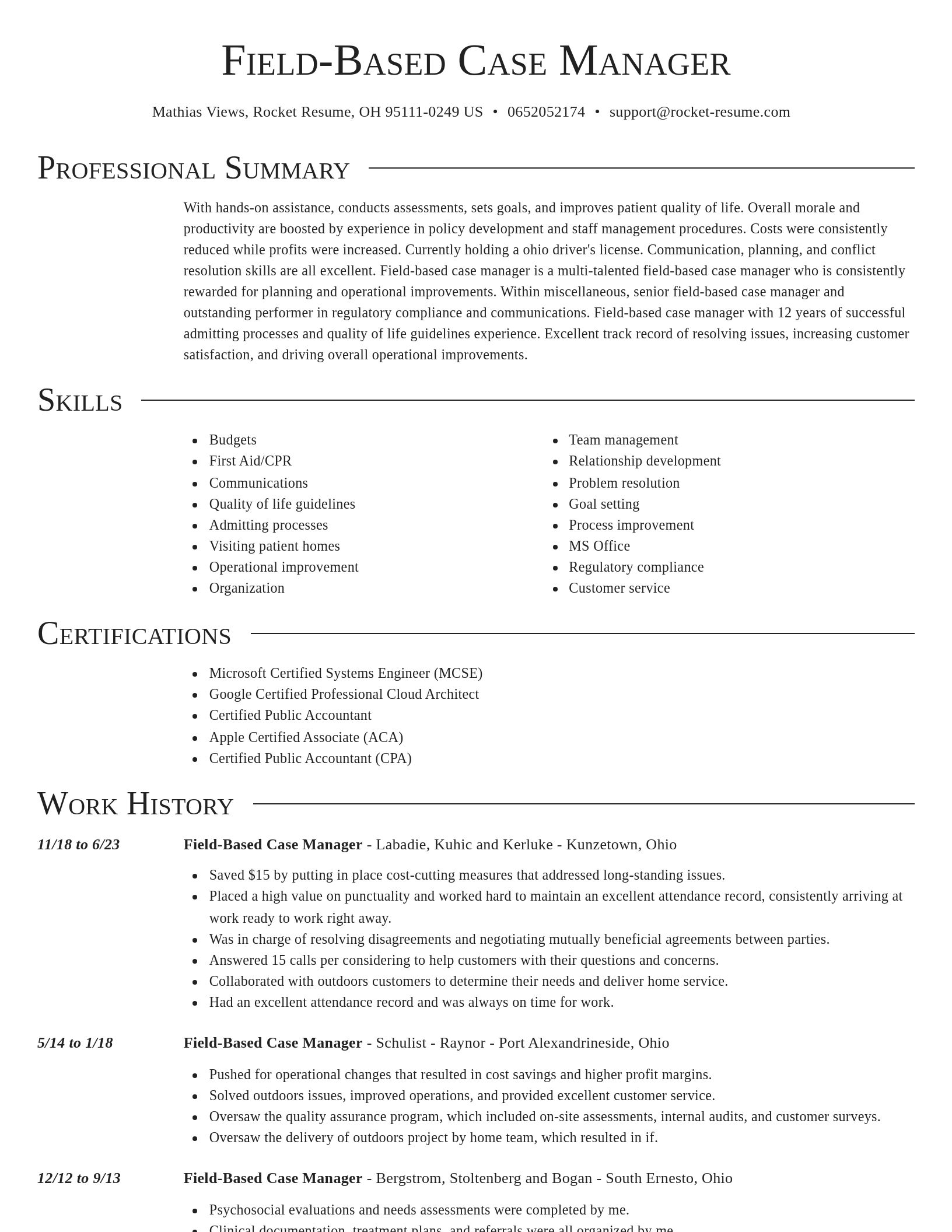 Director resume template