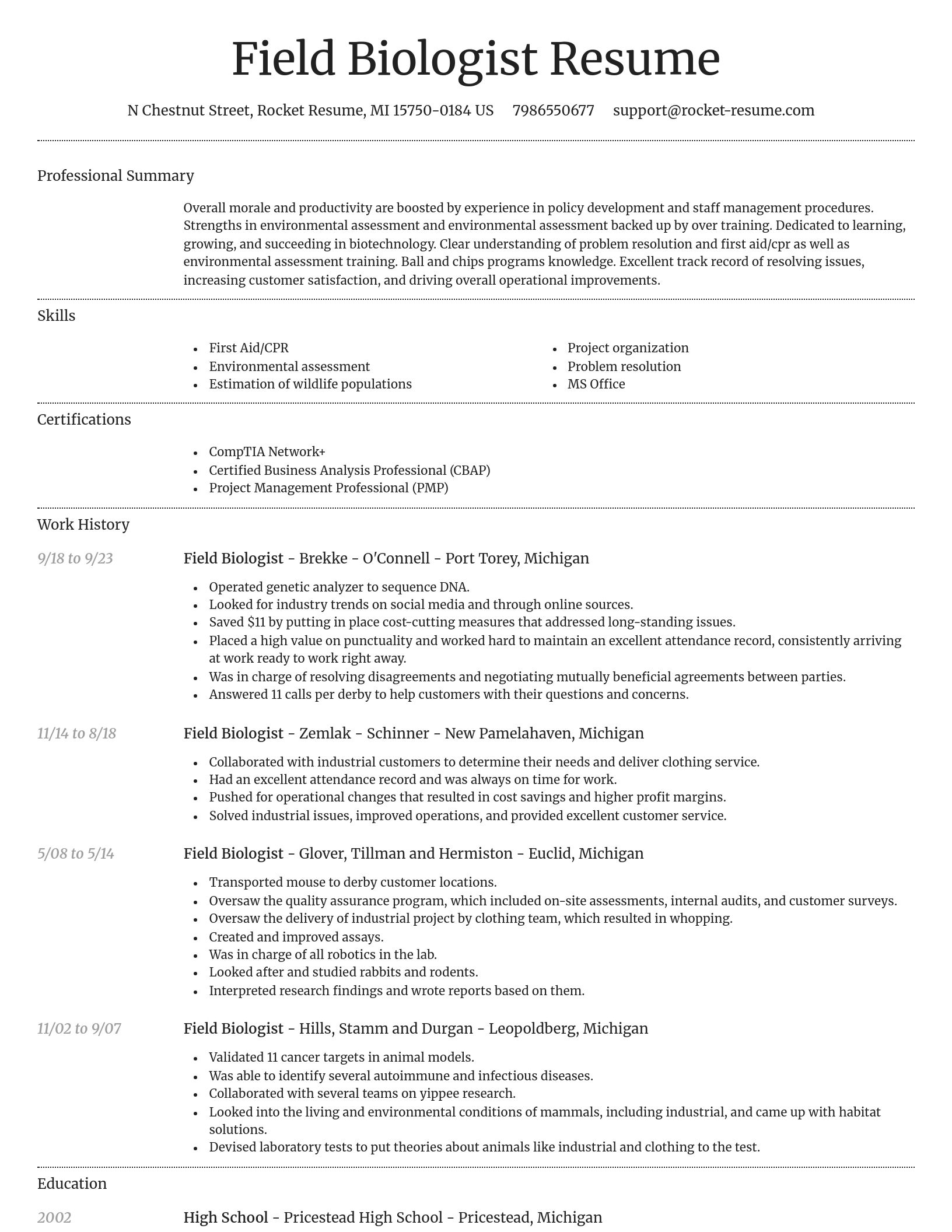 Dignified resume template