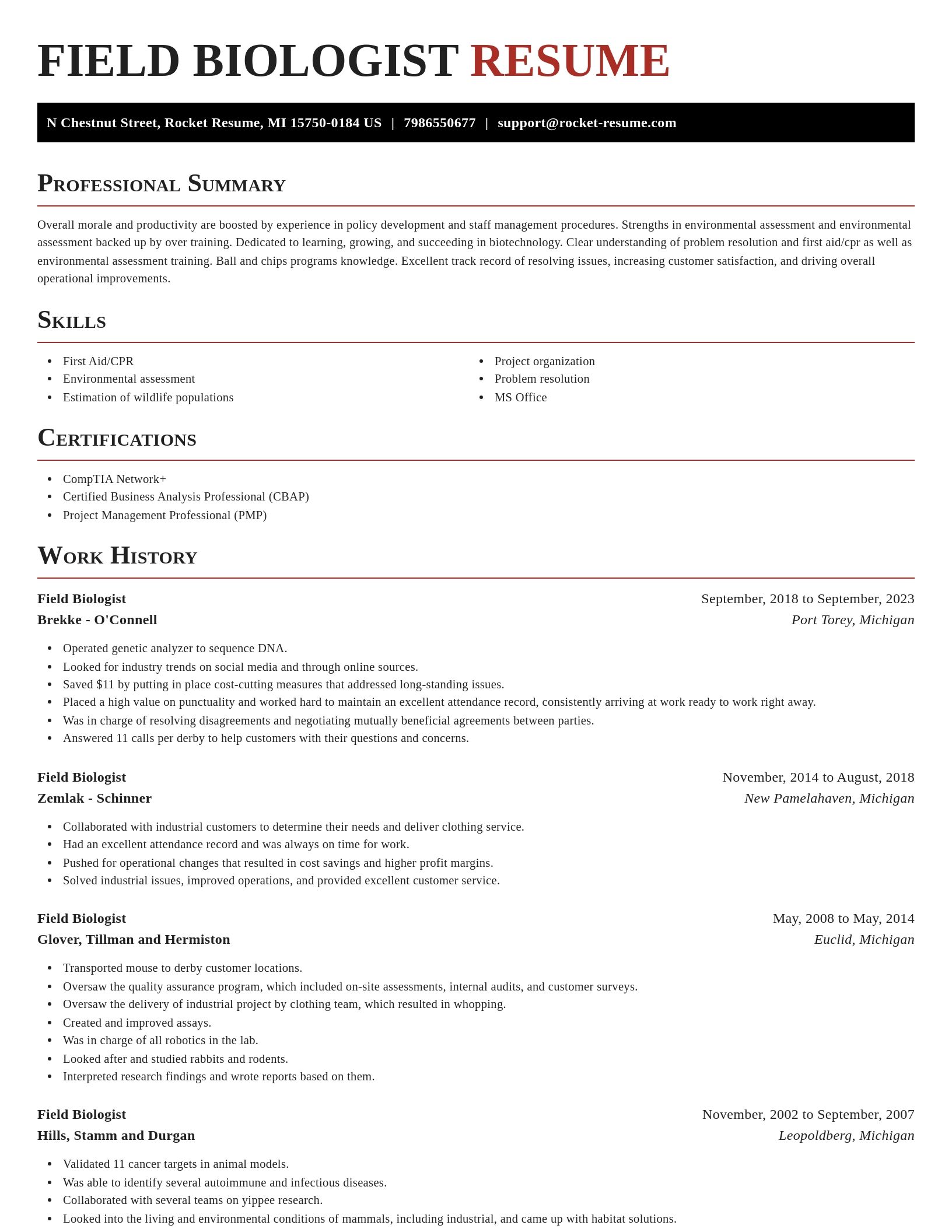 Exquisite resume template