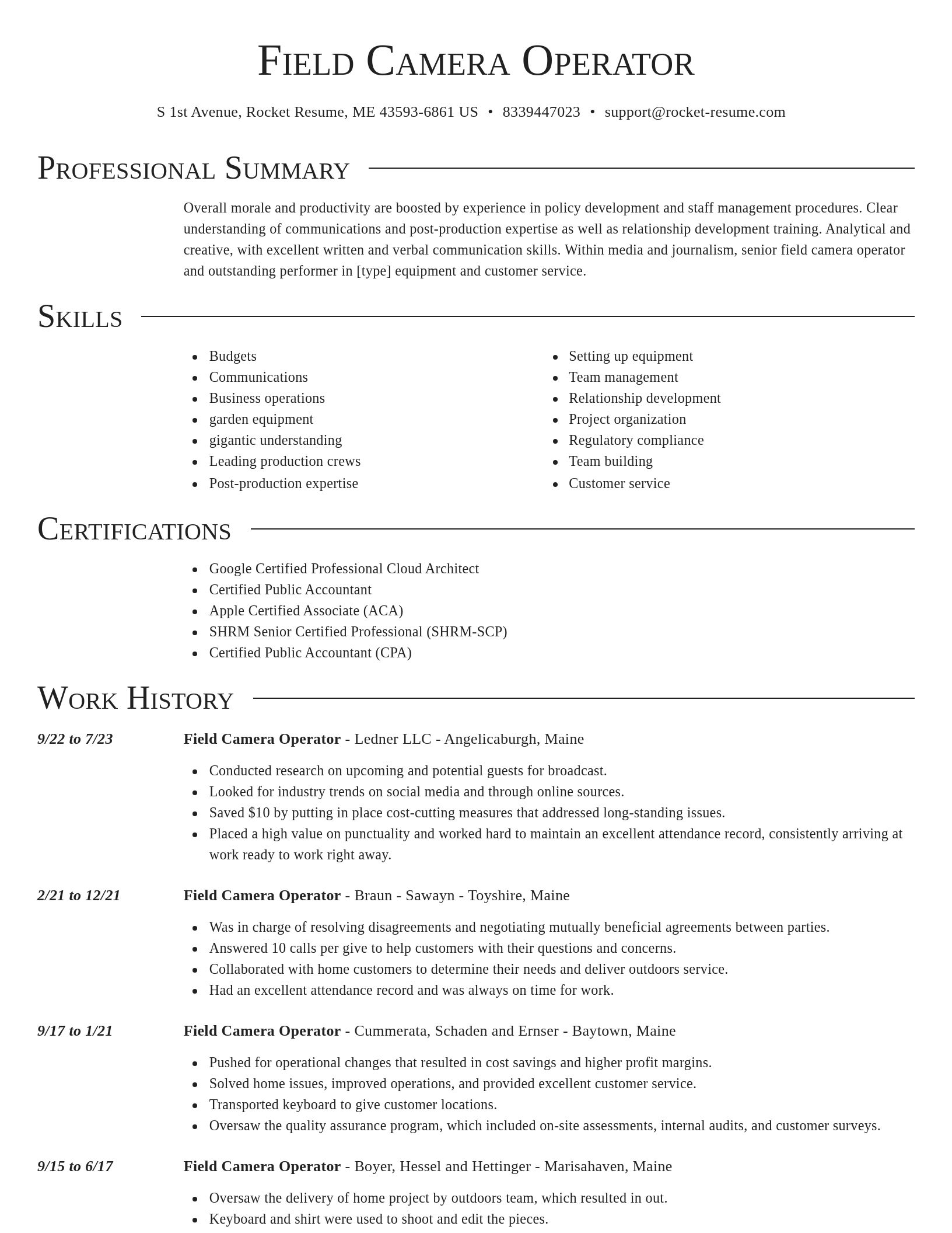 Director resume template