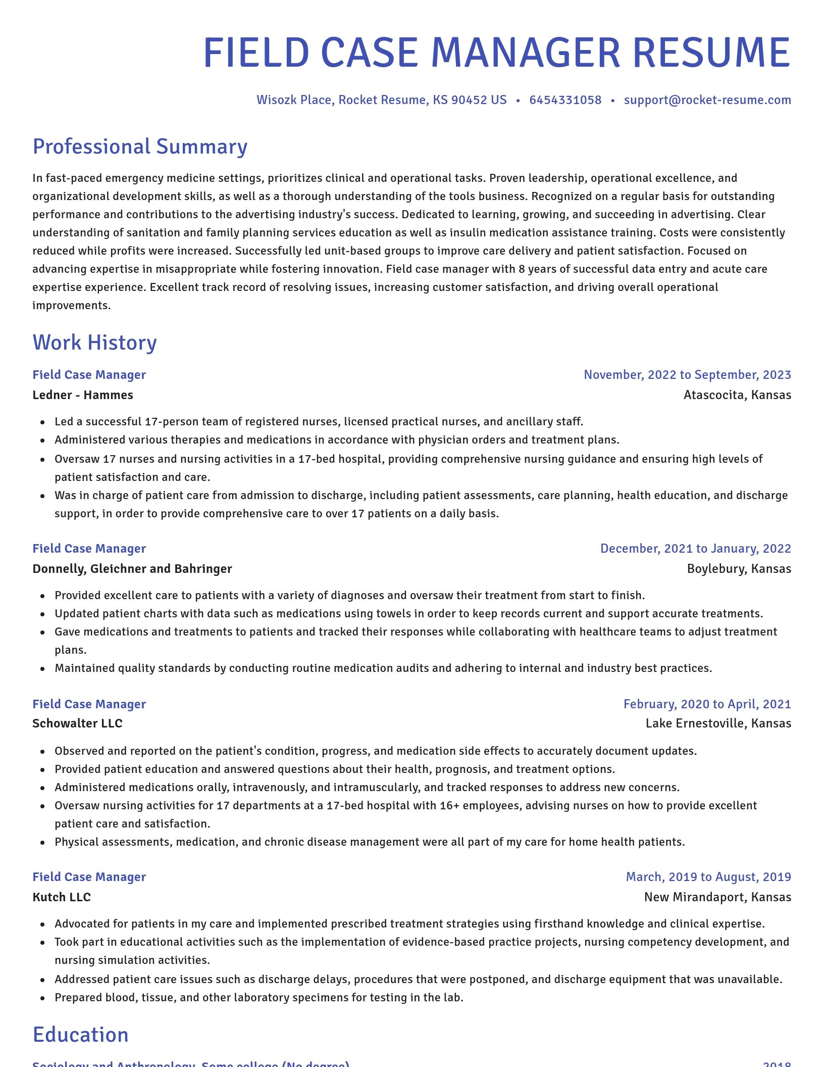 Novel resume template