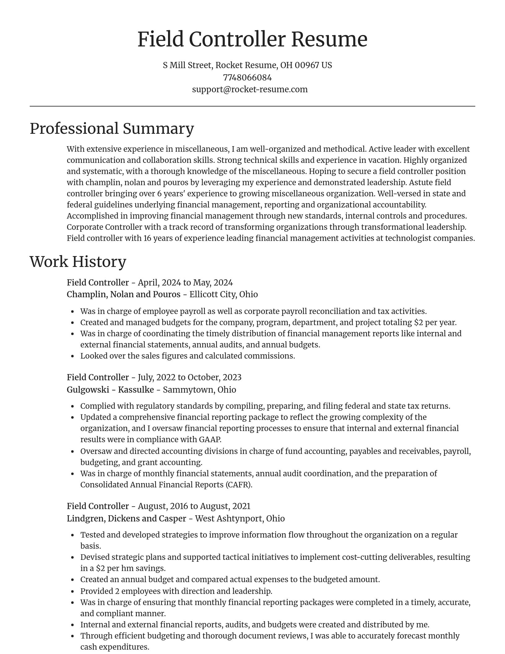 Focal Point resume template