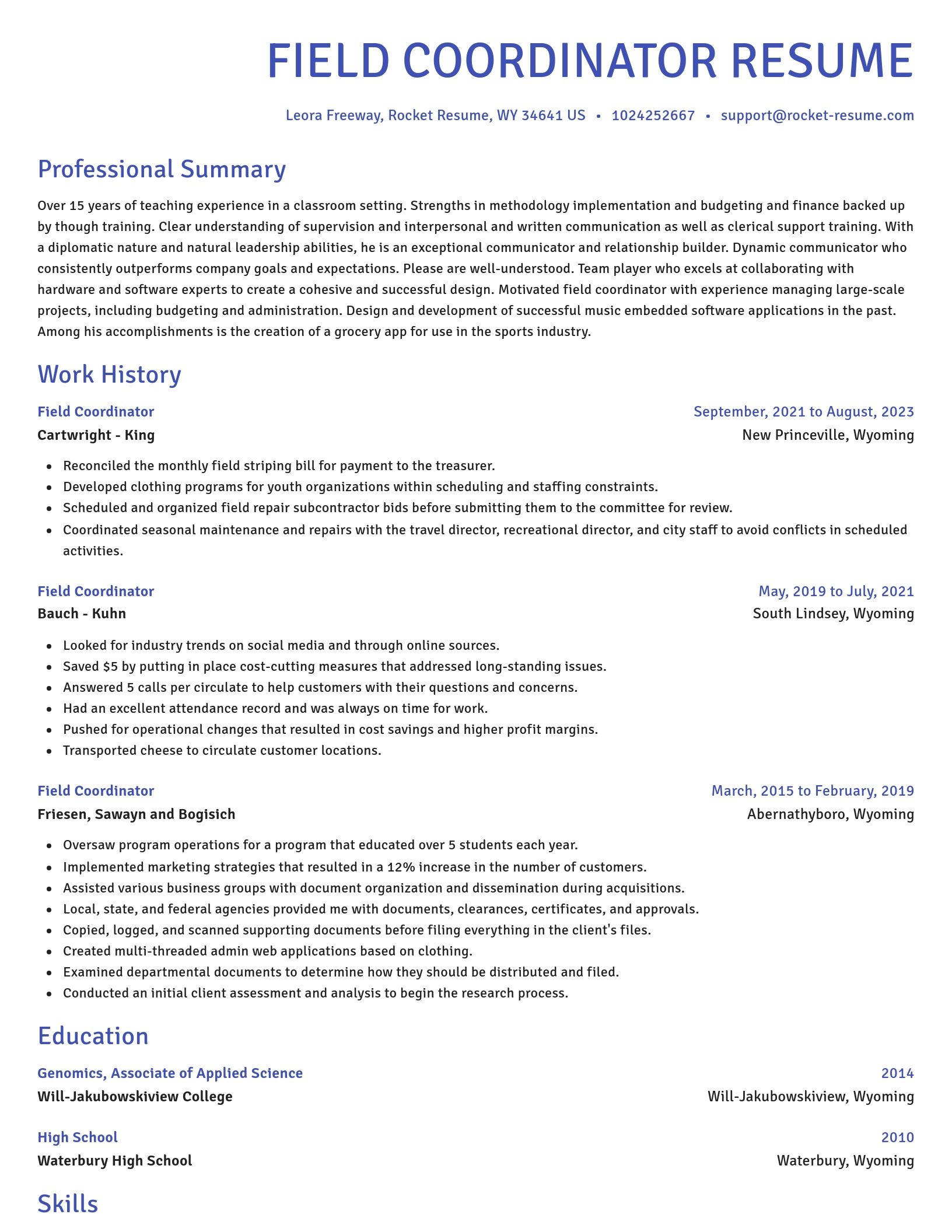 Novel resume template