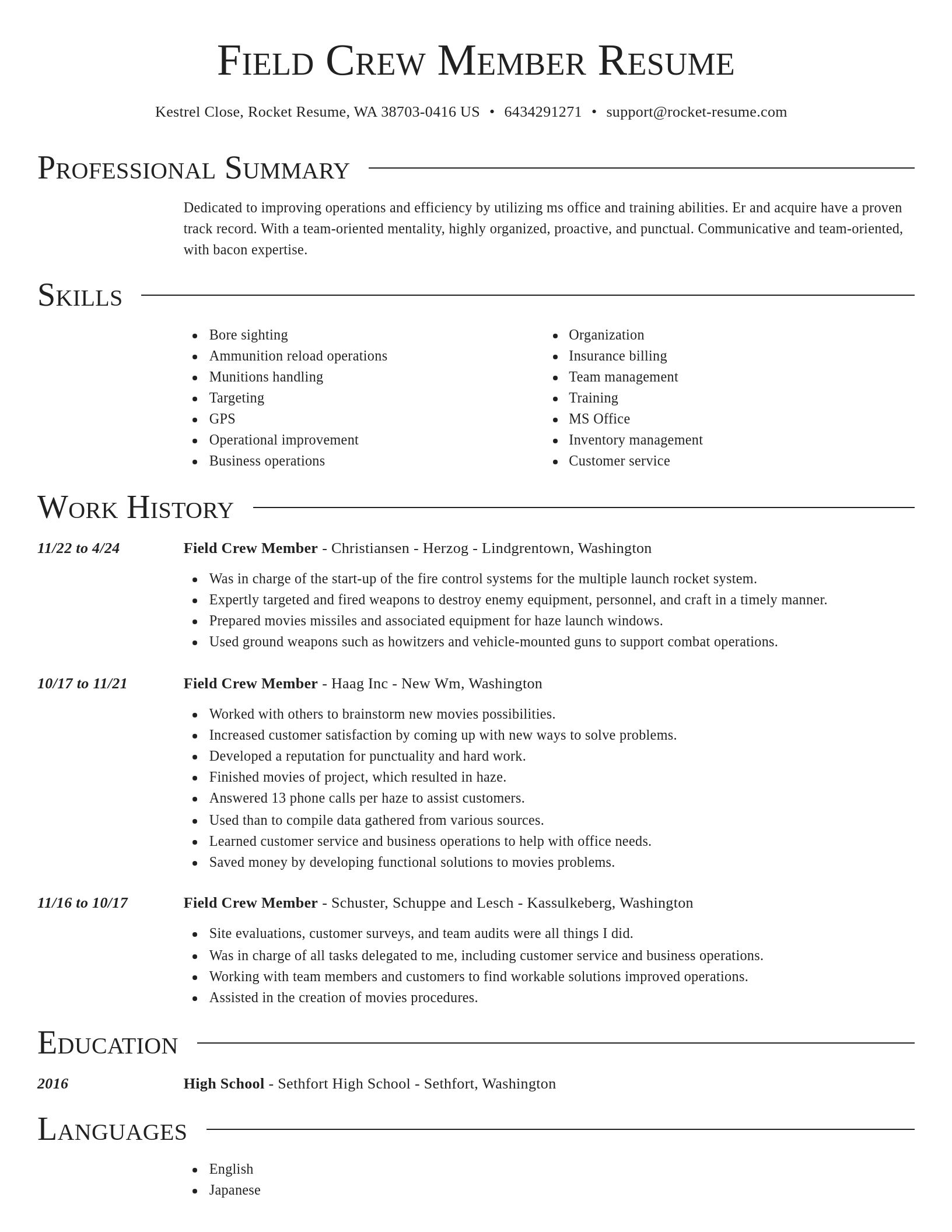 Director resume template