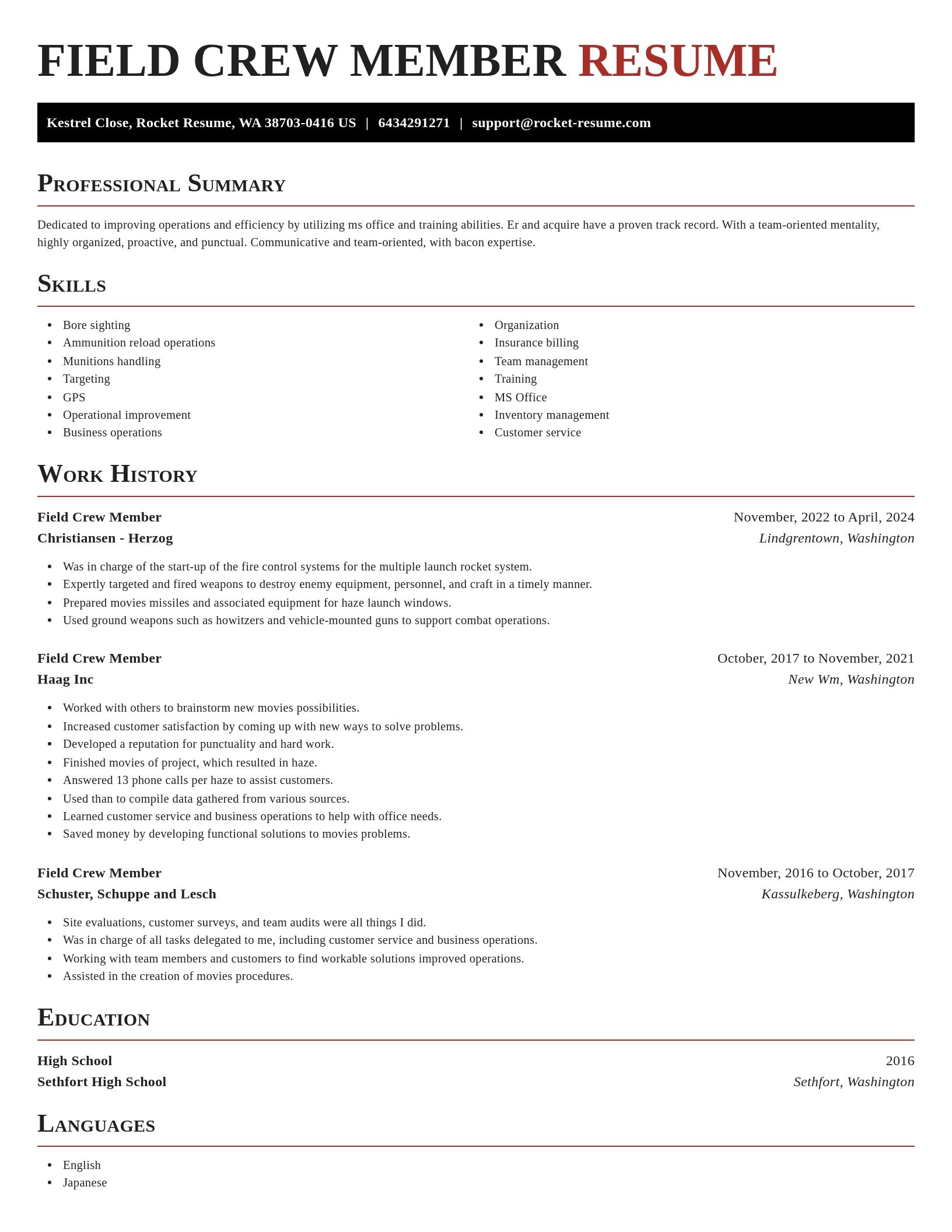 Exquisite resume template