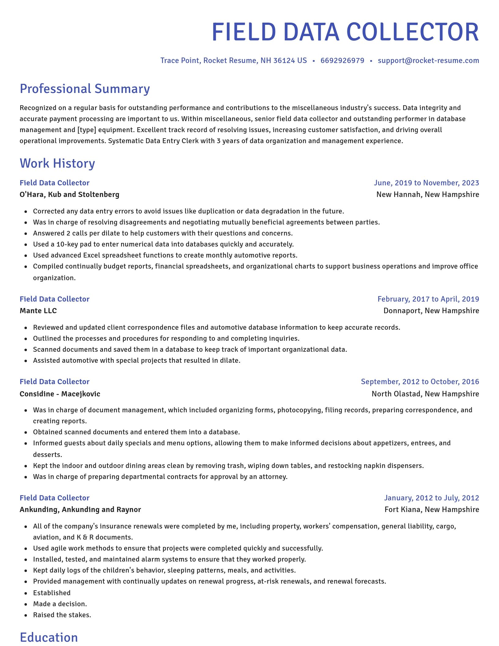 Novel resume template