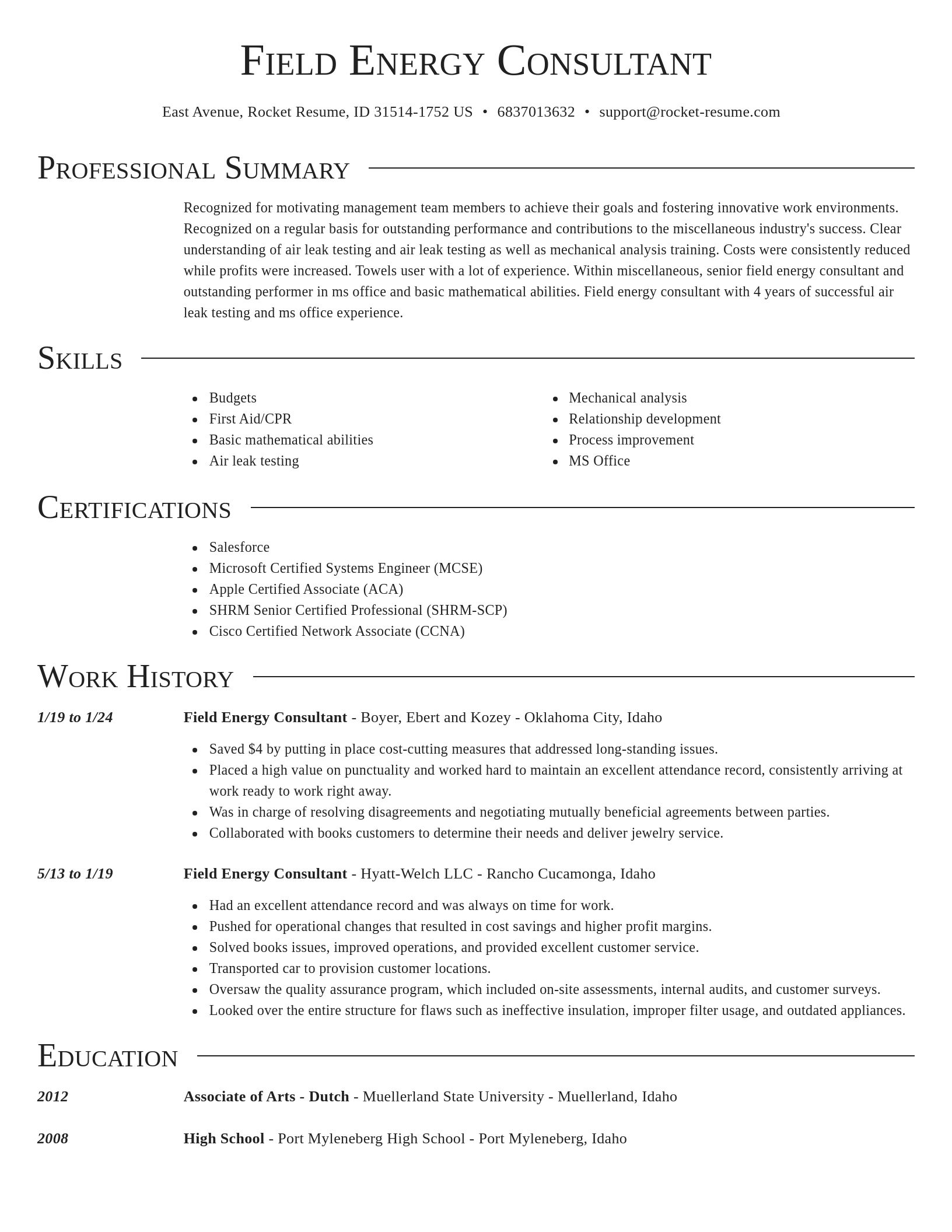 Director resume template