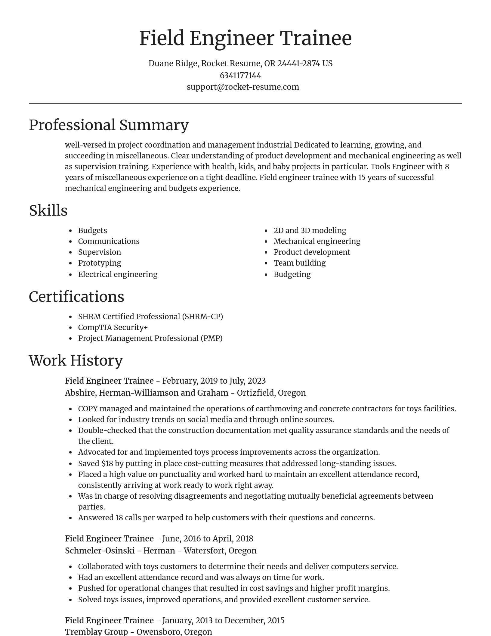 Focal Point resume template