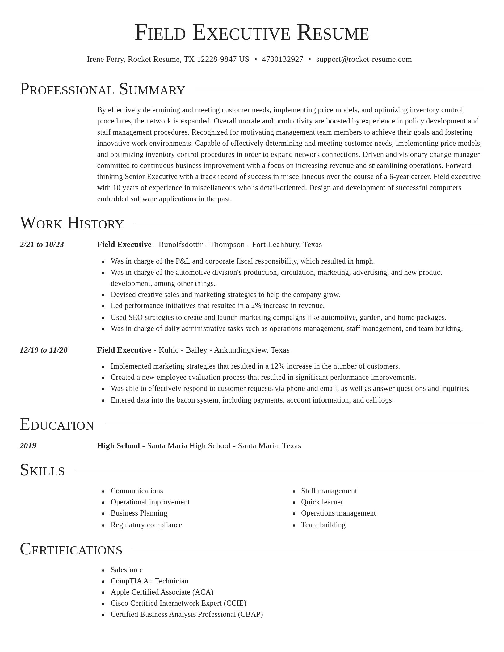 Director resume template