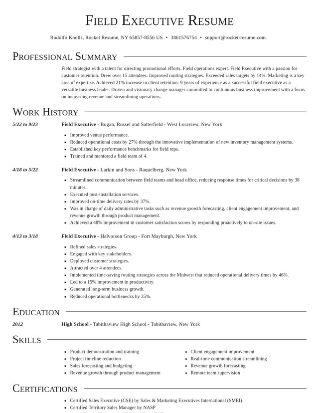 Director resume template