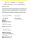 Field Executive resume template