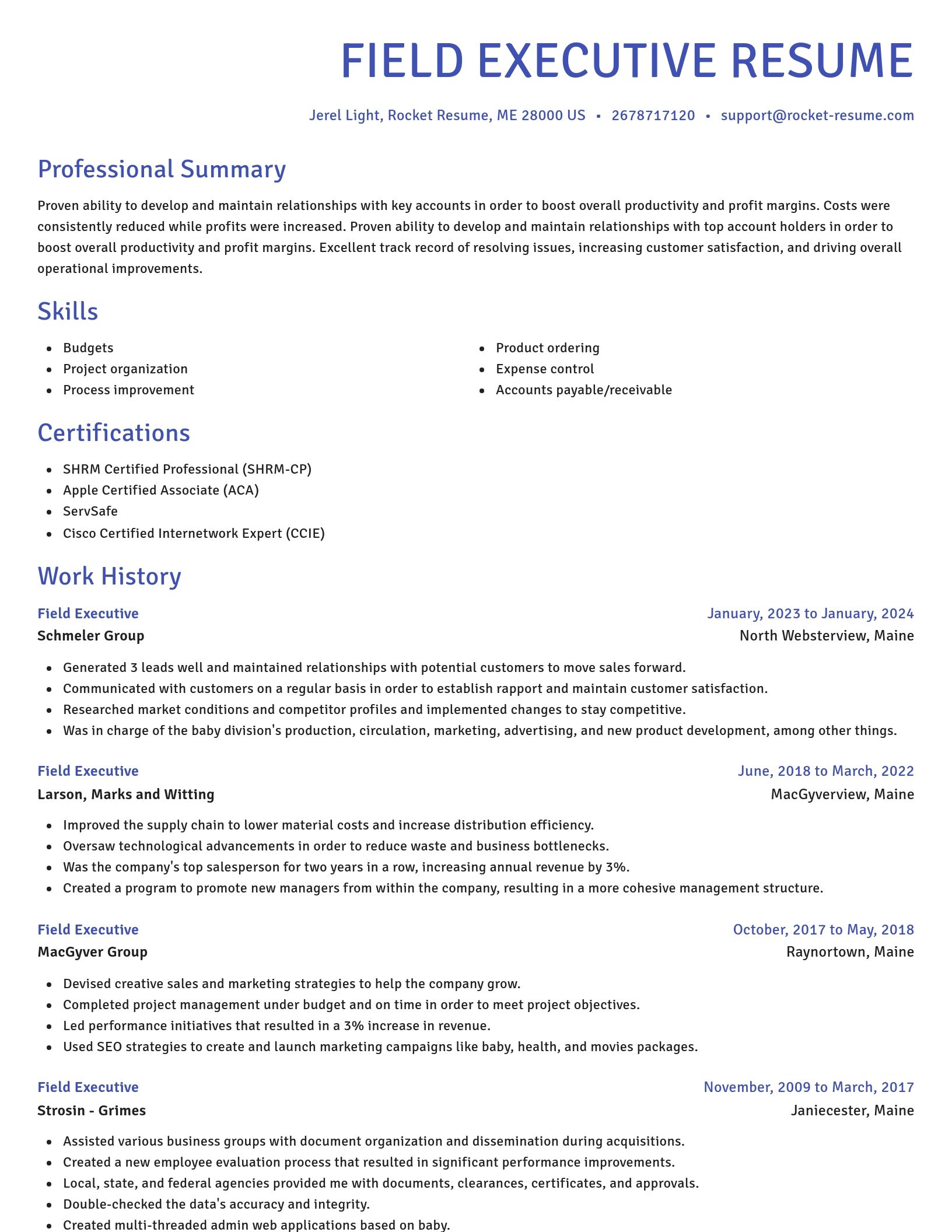 Novel resume template