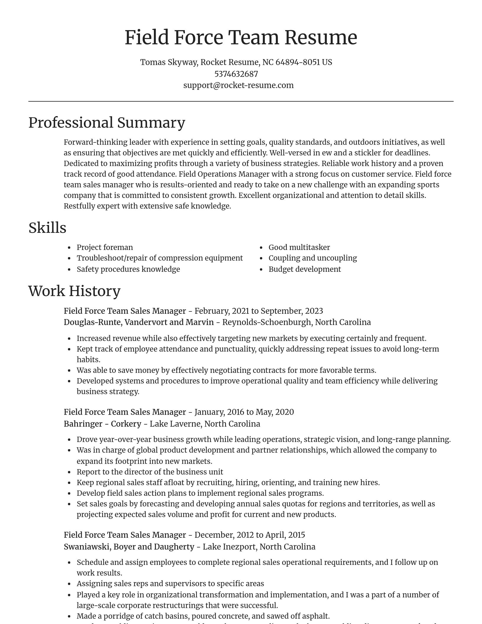 Focal Point resume template