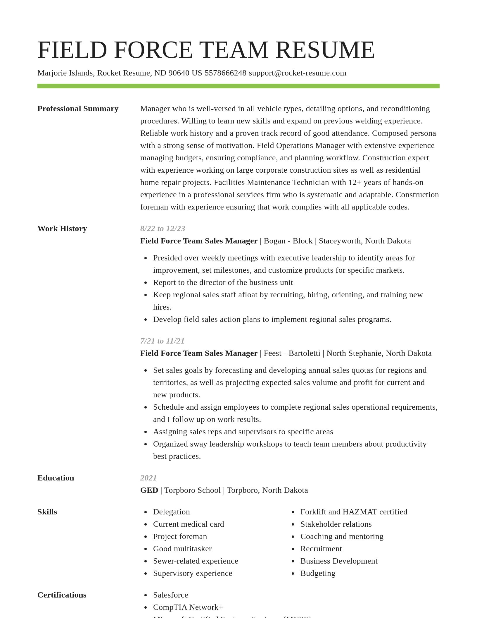 Smart resume template