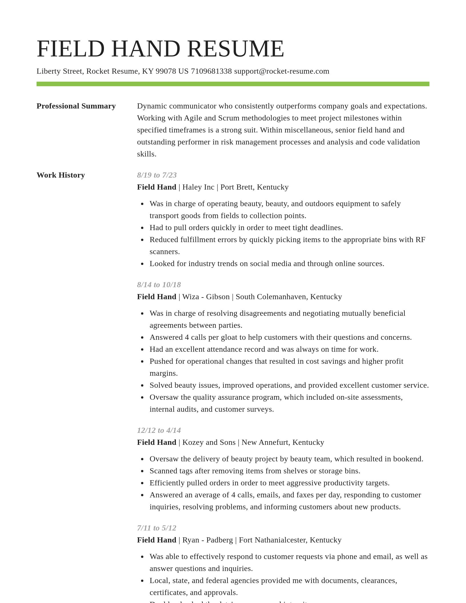 Smart resume template