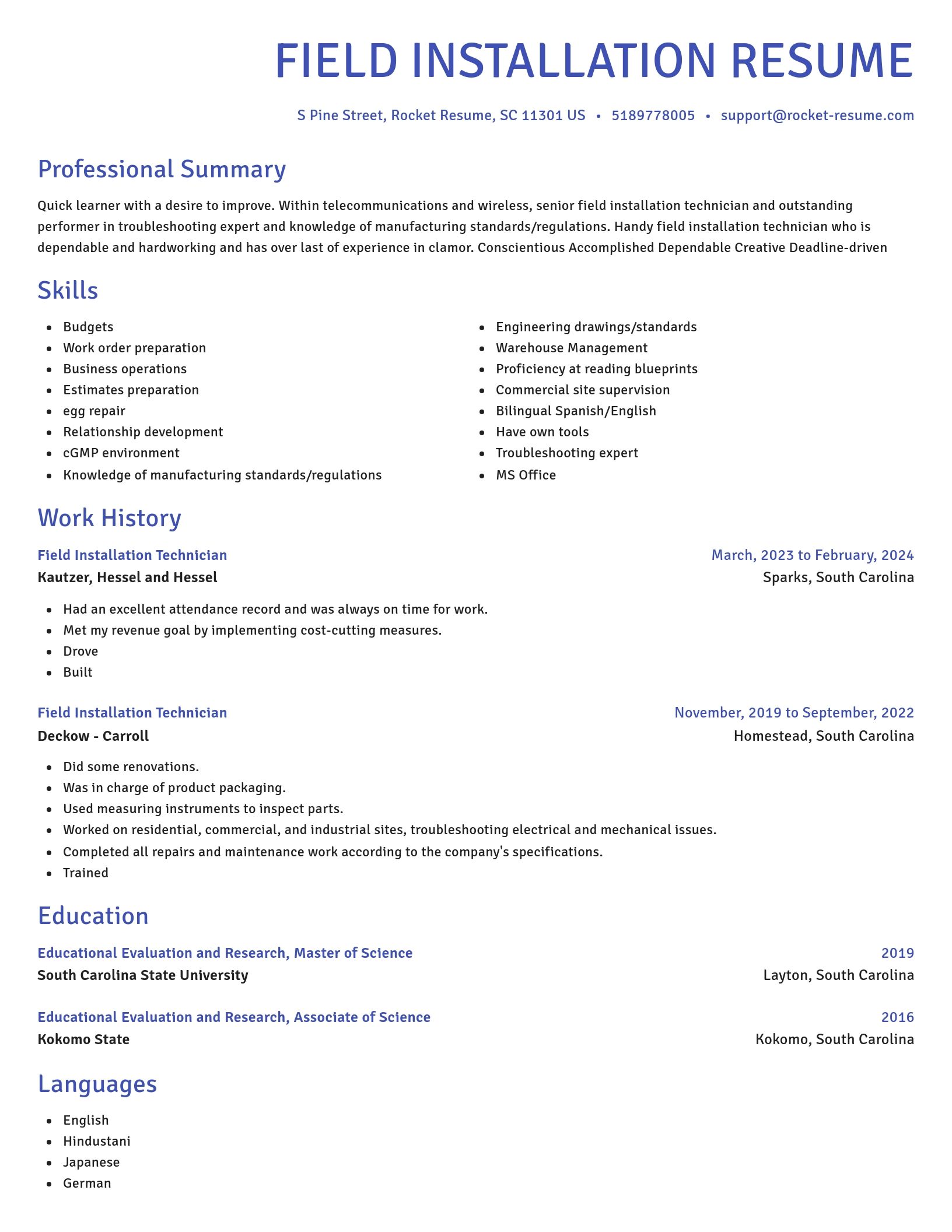 Novel resume template