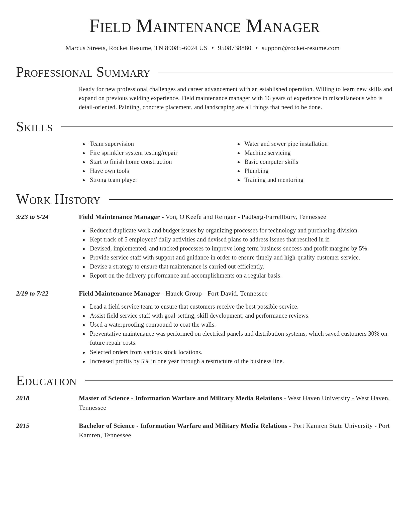 Director resume template