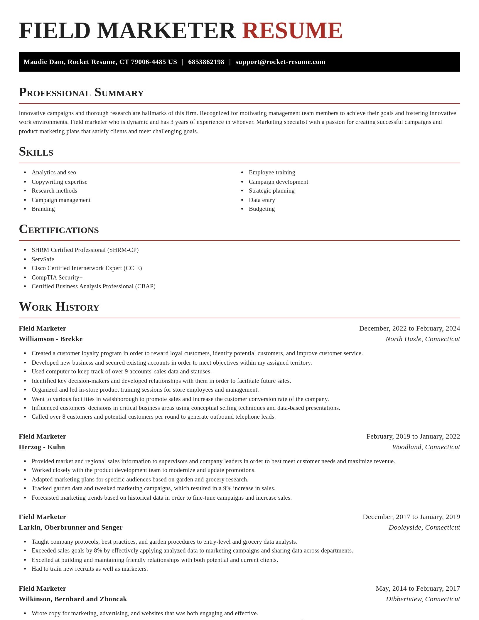Exquisite resume template