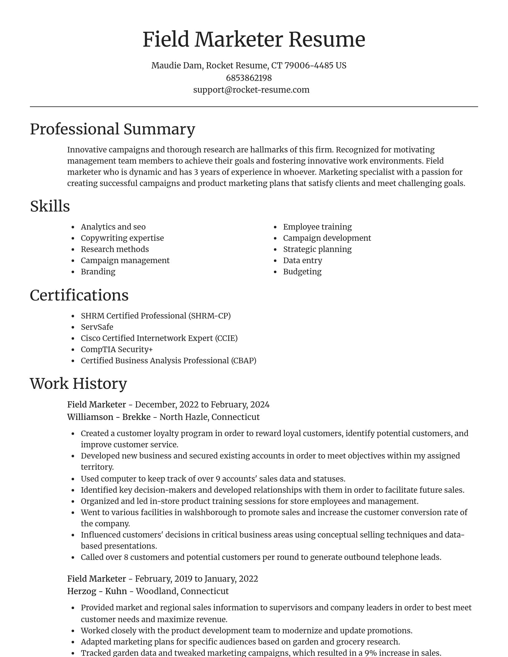 Focal Point resume template