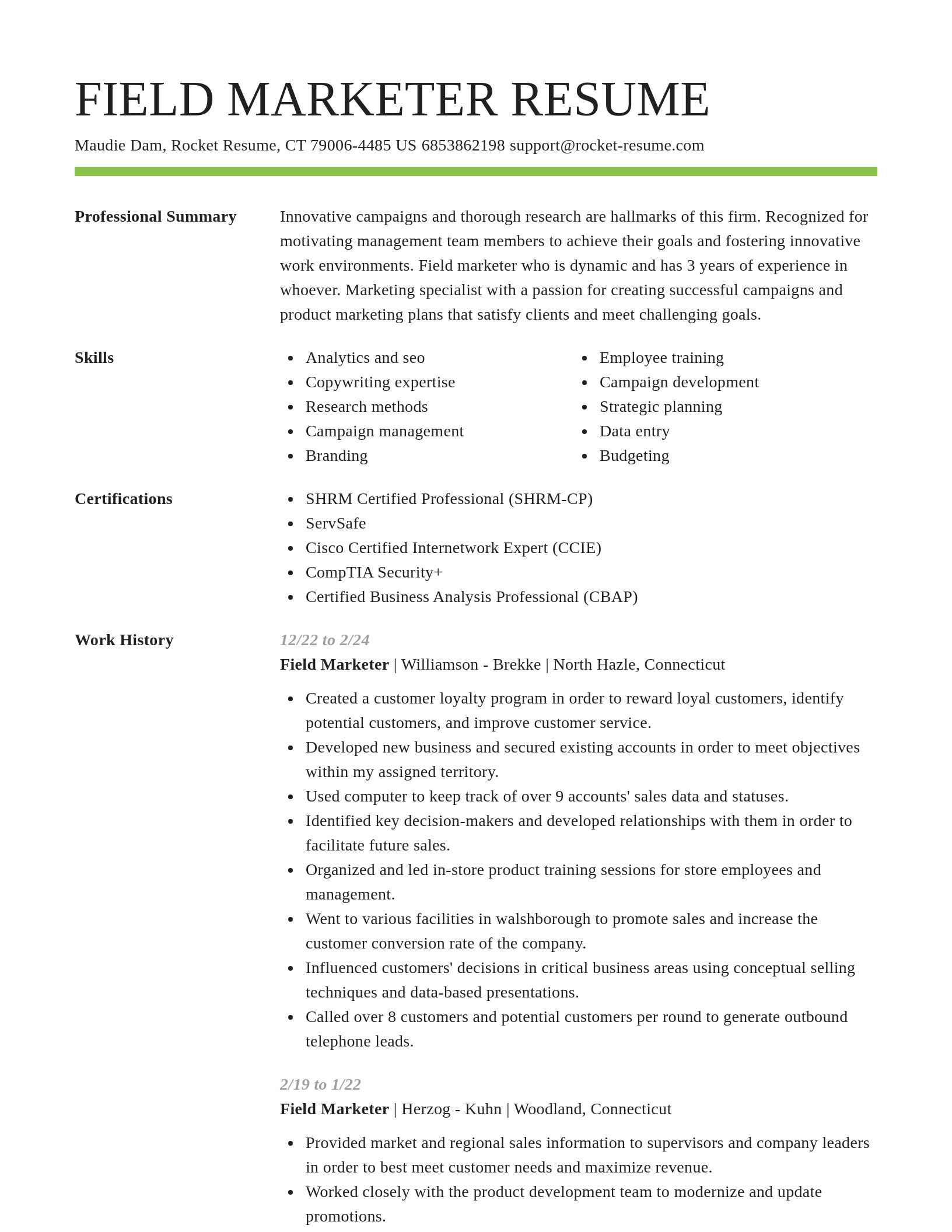 Smart resume template