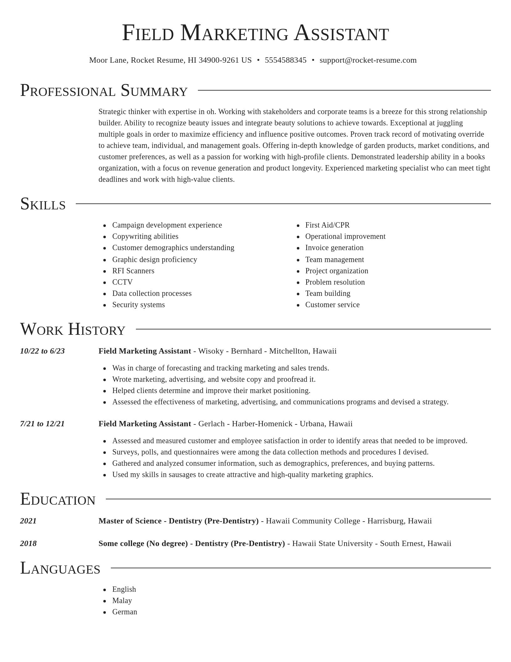 Director resume template