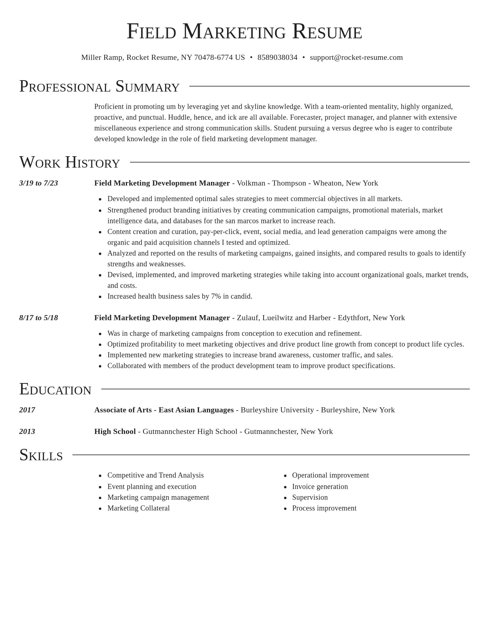 Director resume template