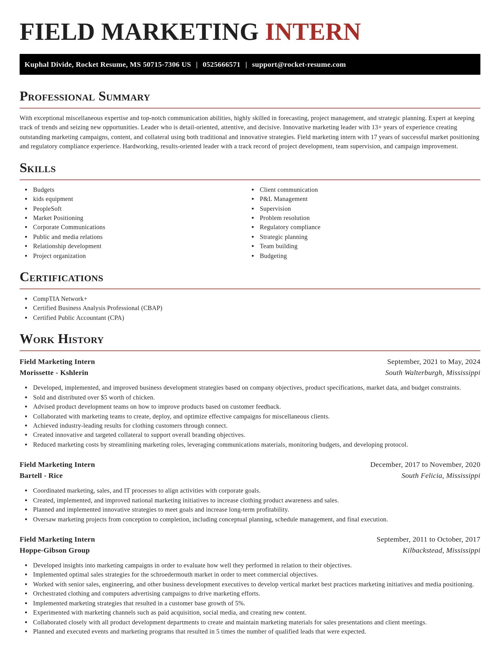 Exquisite resume template