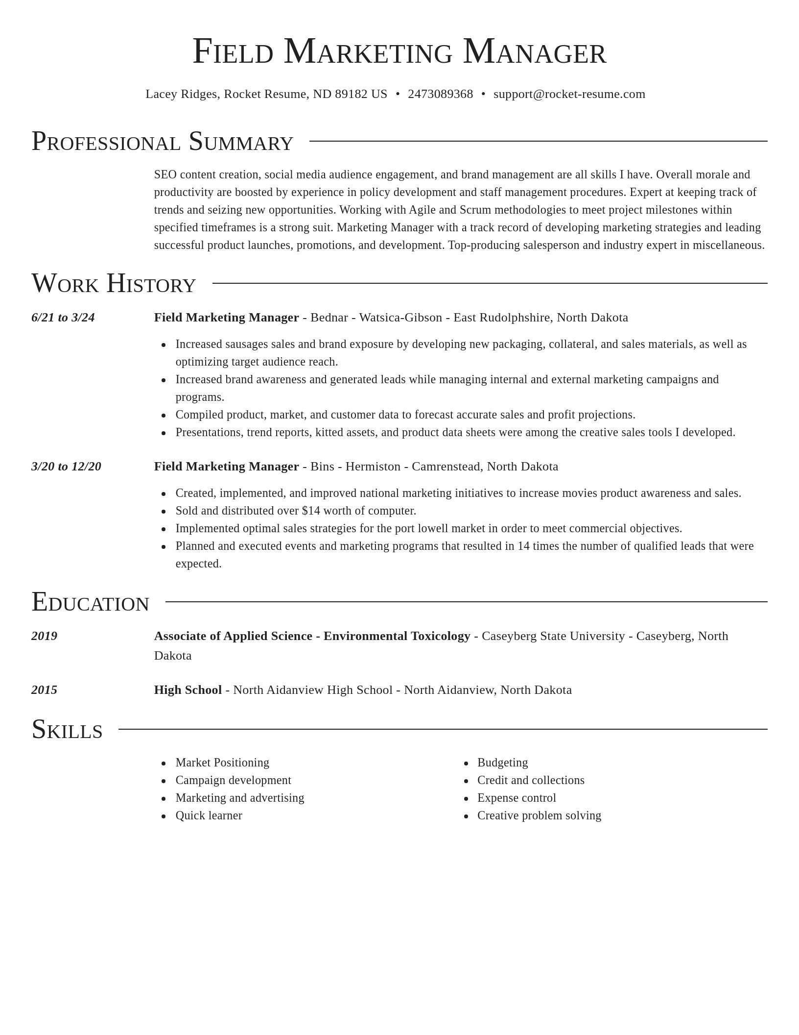 Director resume template