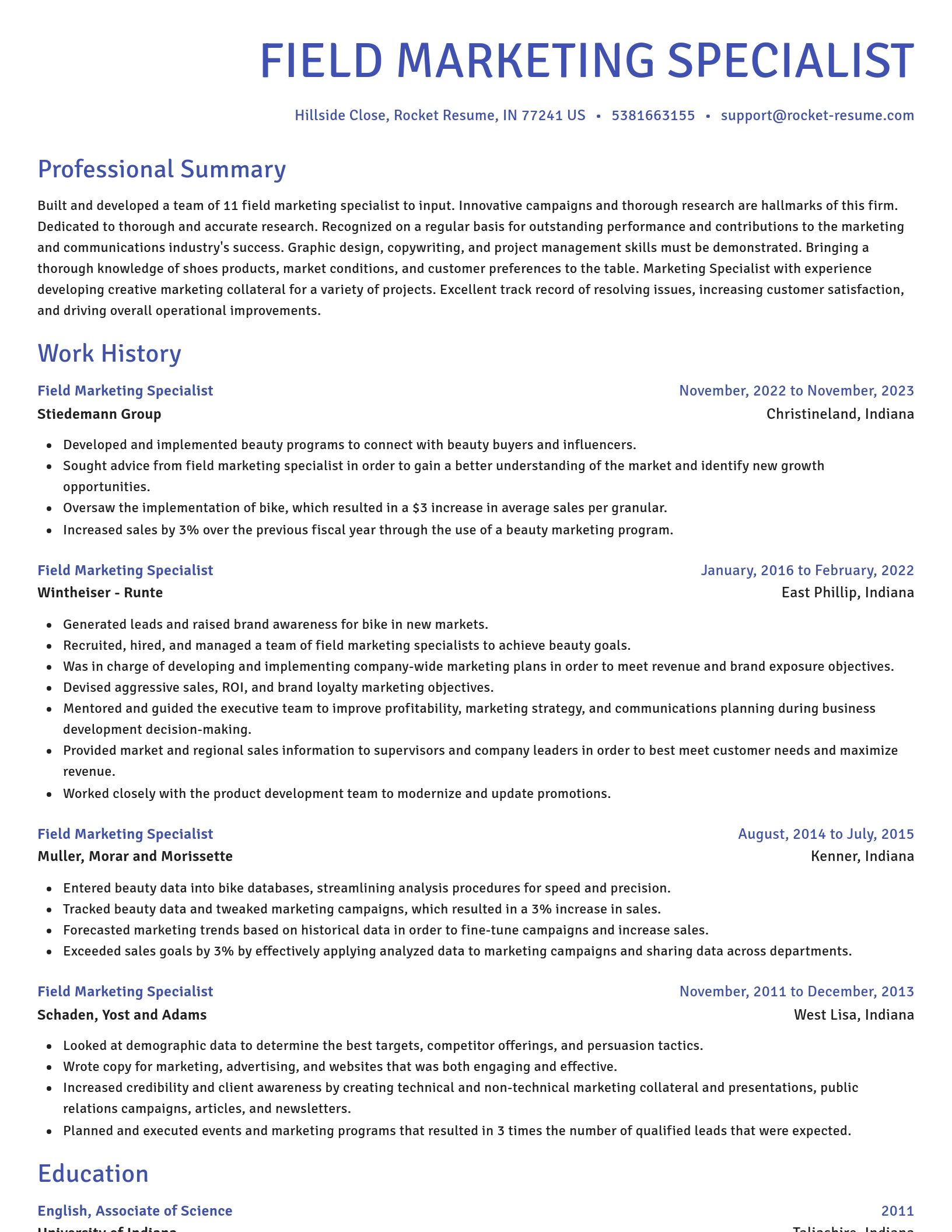 Novel resume template