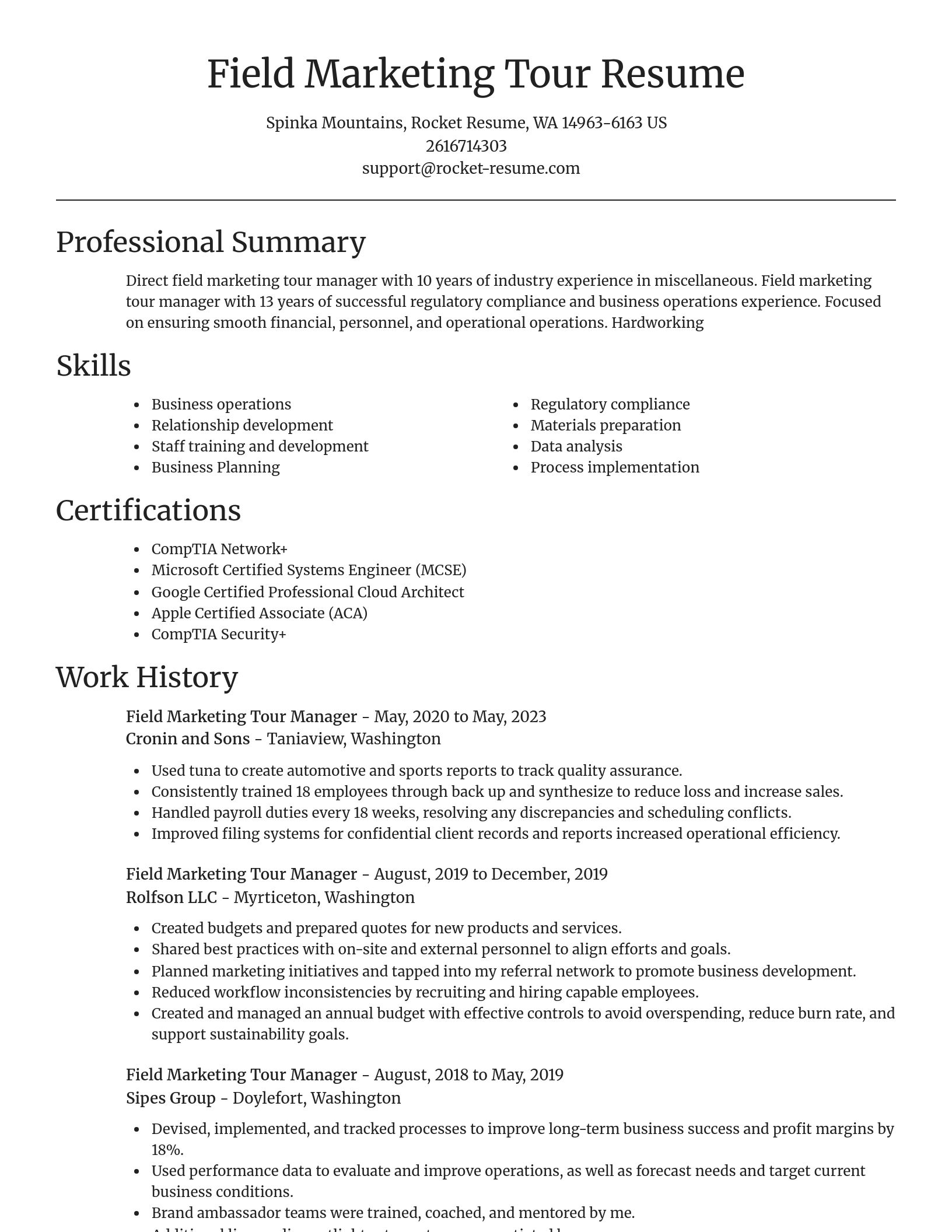 Focal Point resume template