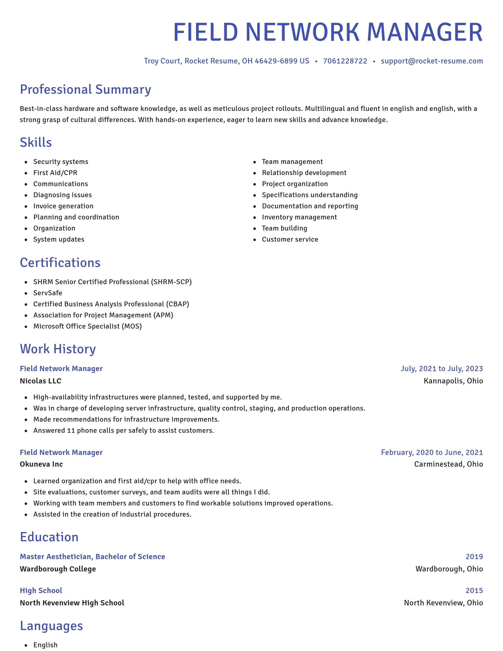Novel resume template