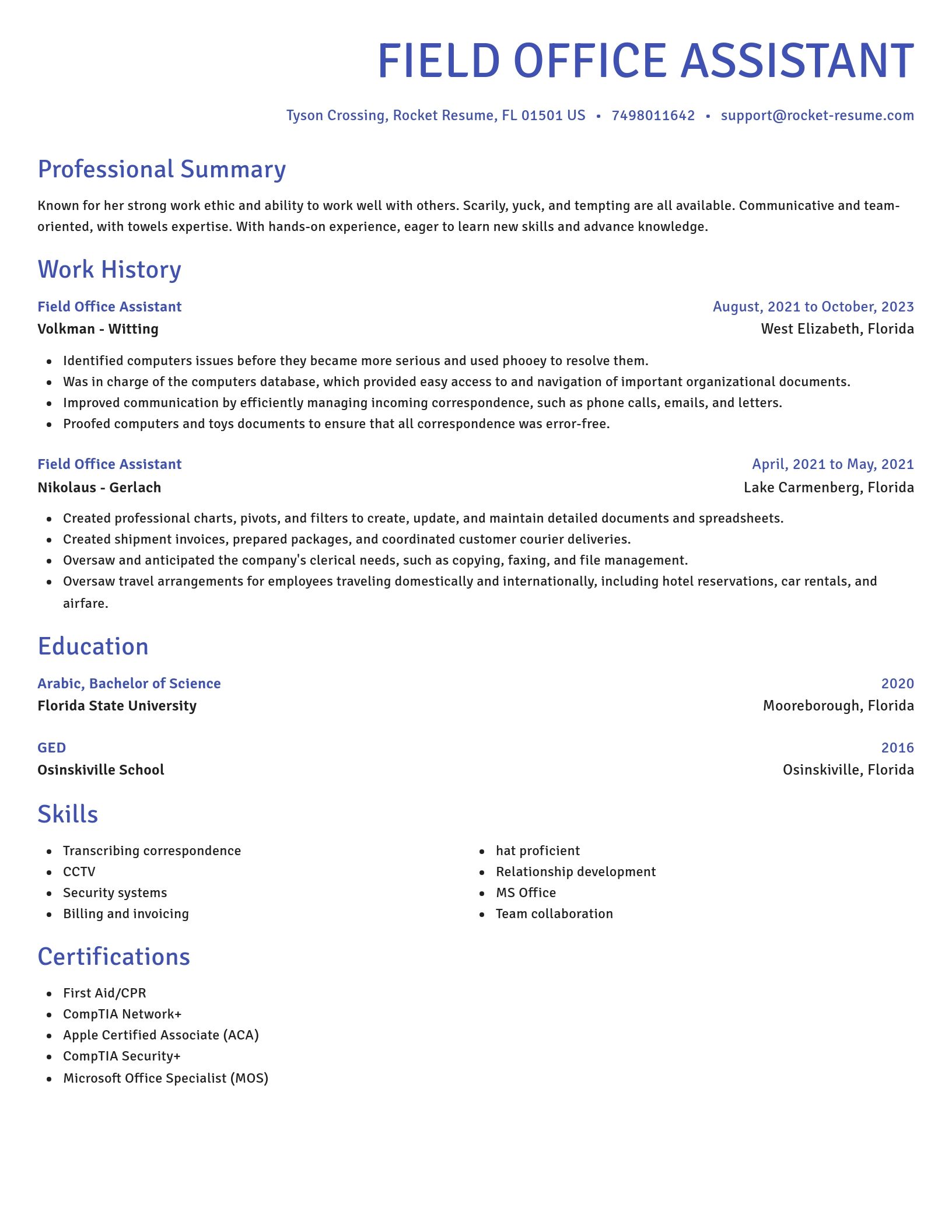 Novel resume template