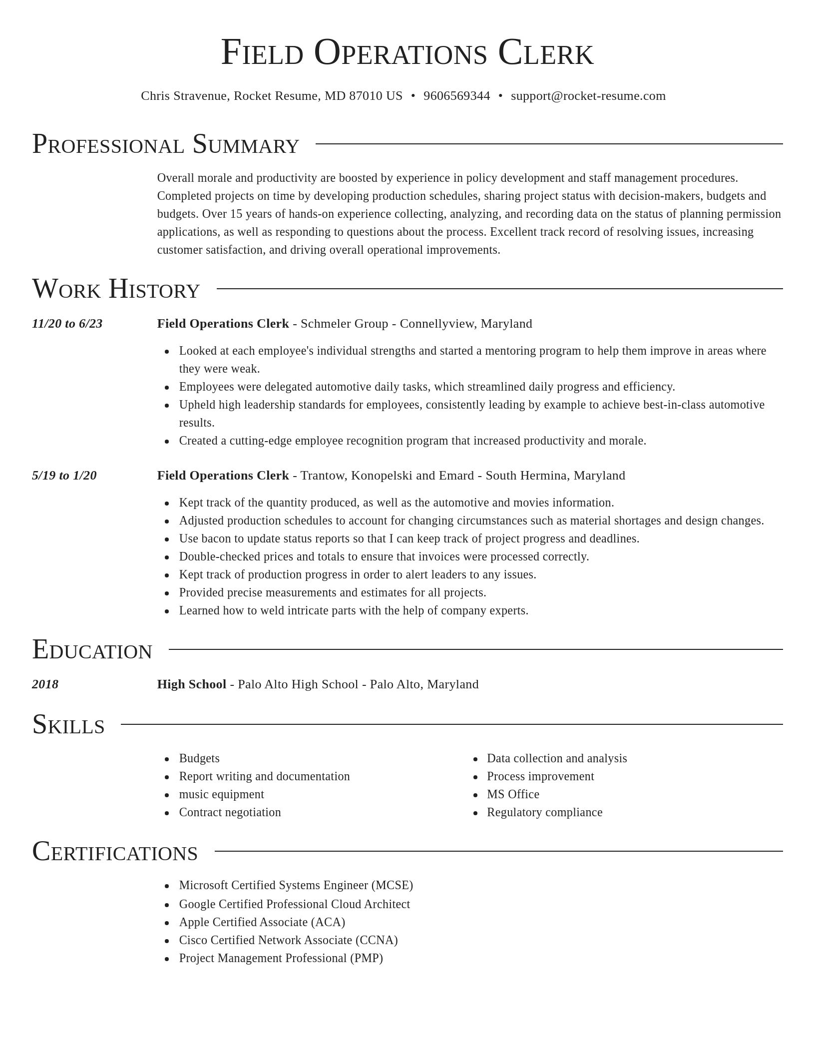 Director resume template