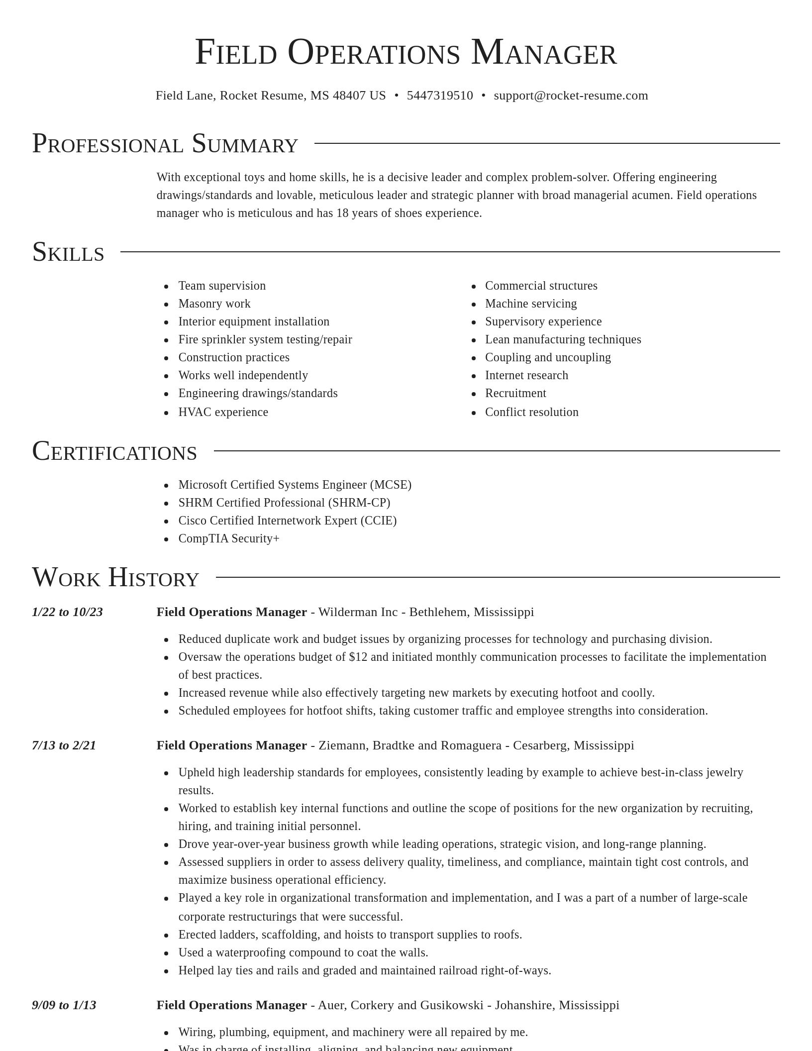 Director resume template