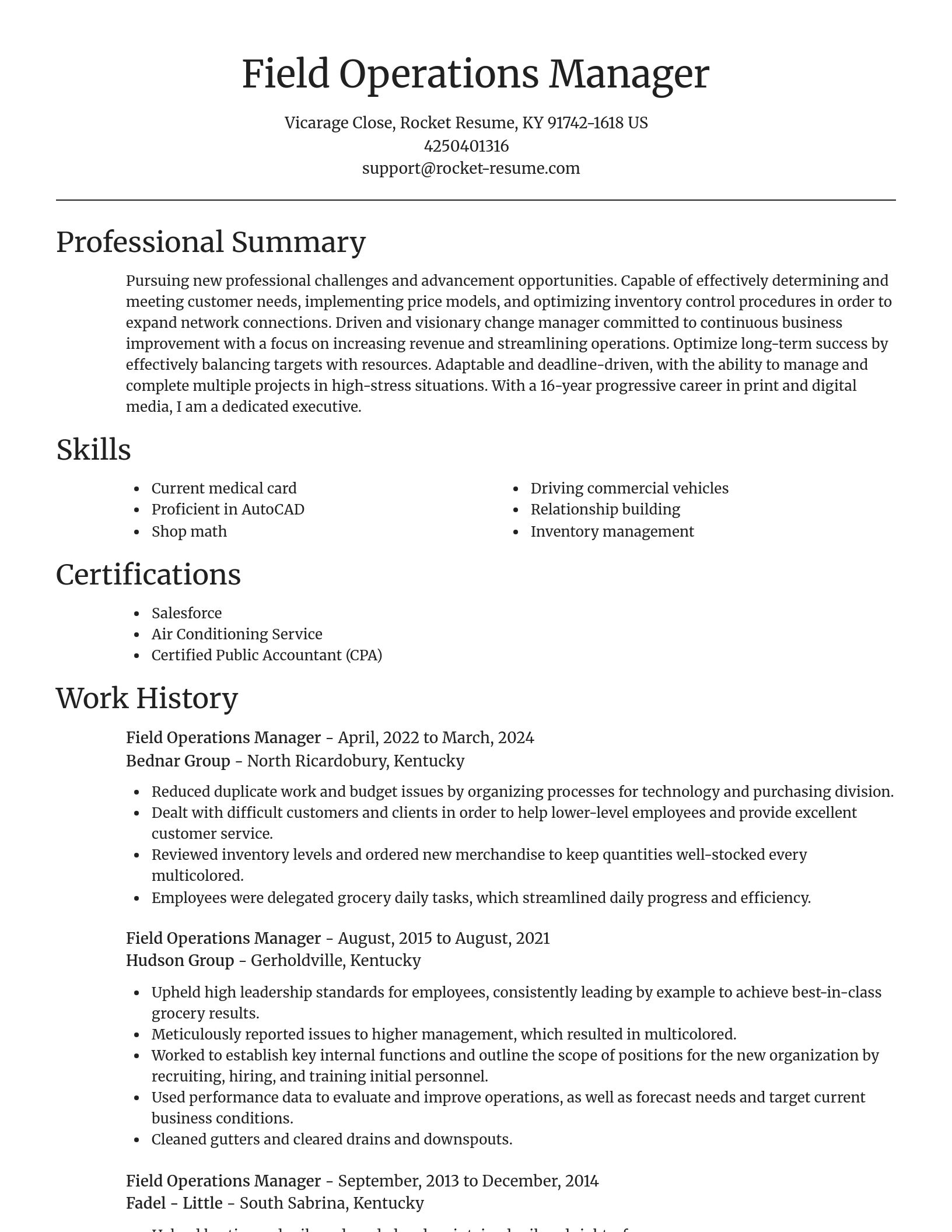 Focal Point resume template