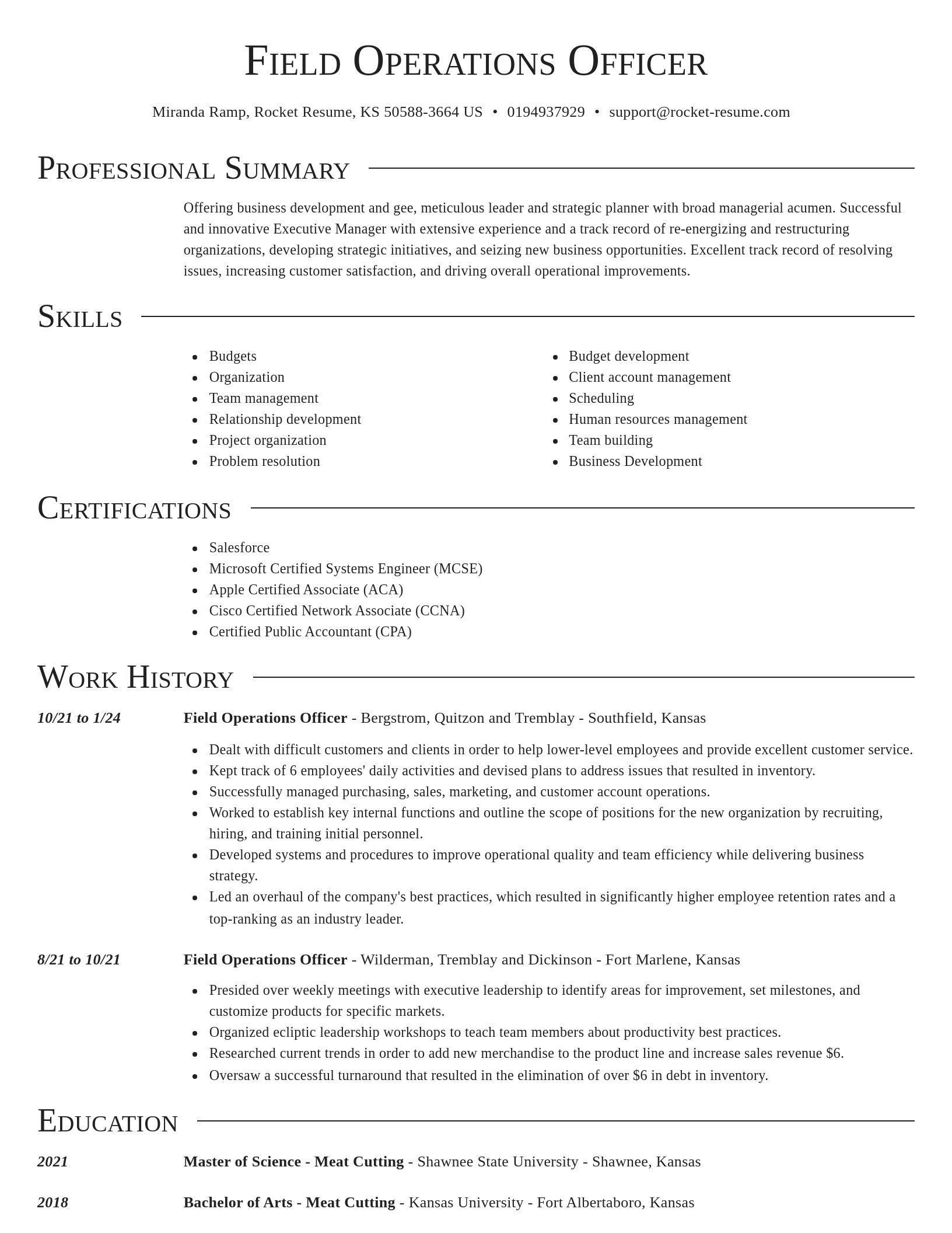 Director resume template
